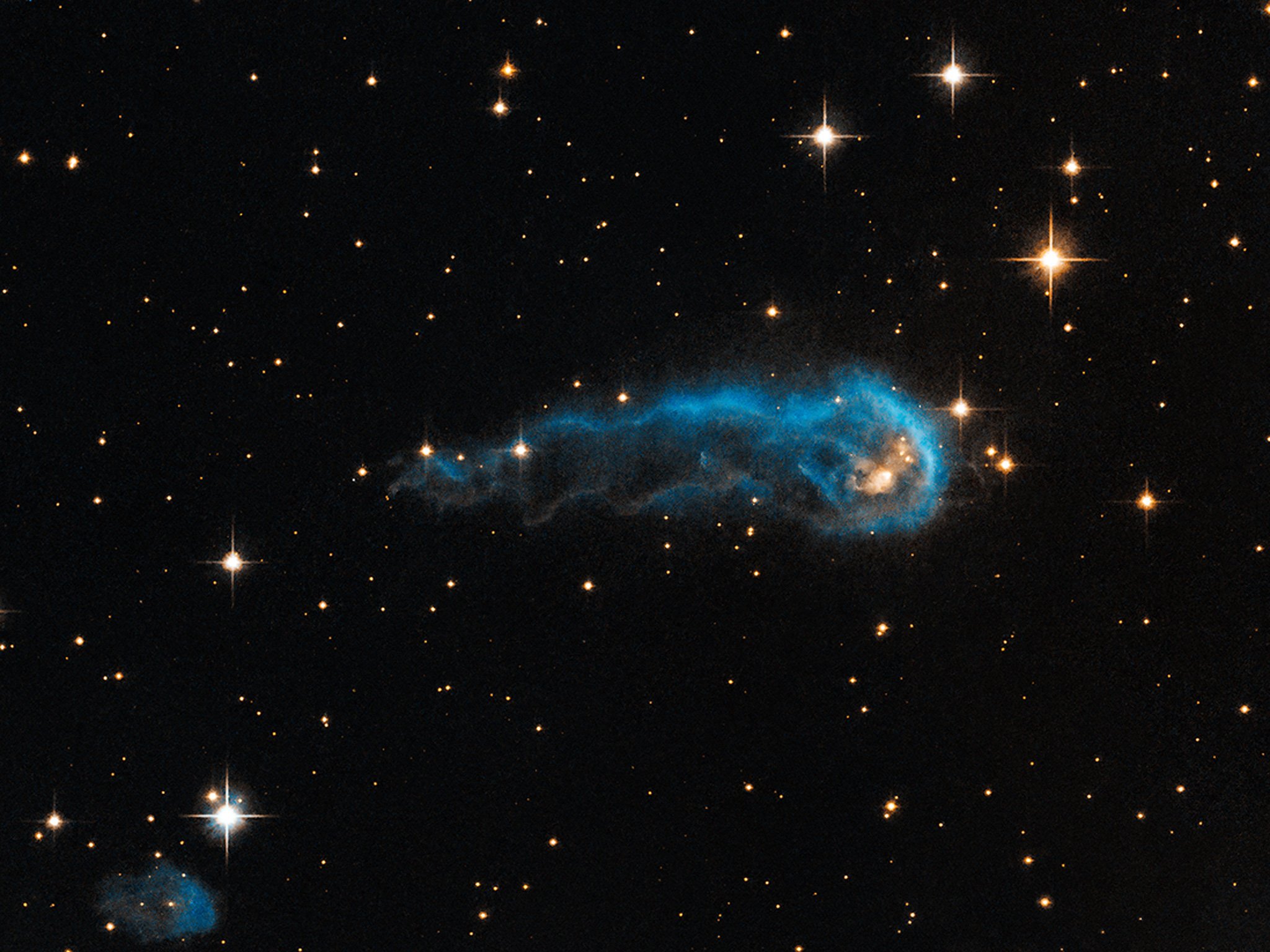 opo1335a.jpg