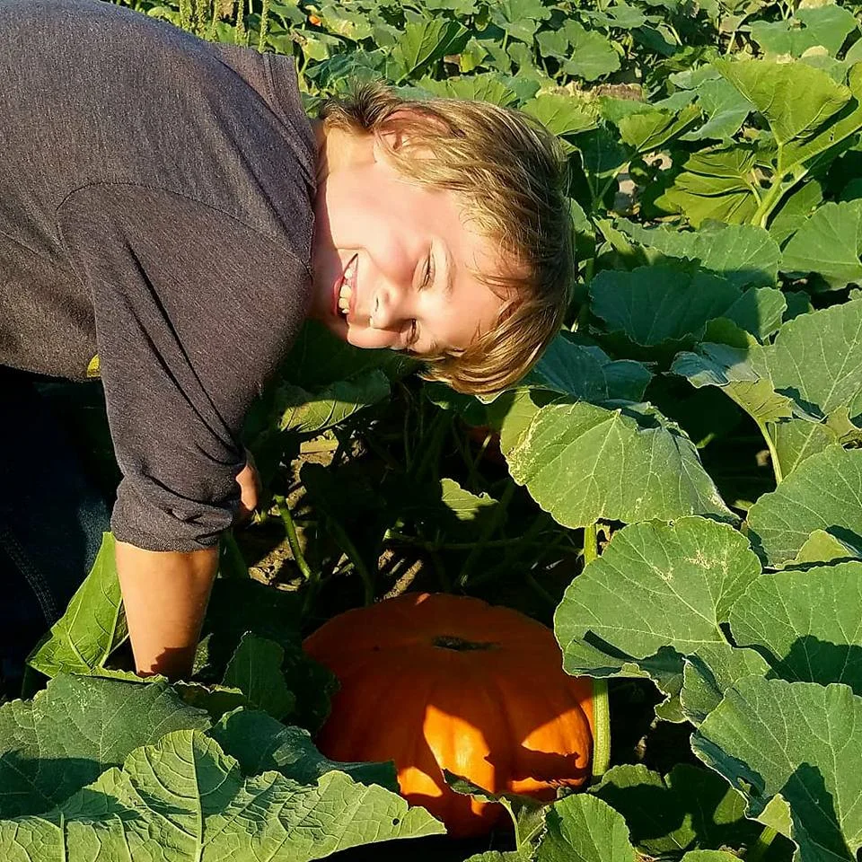 Pumpkin Patch in Lawrence Kansas, Kansas City — Meuschke Farms