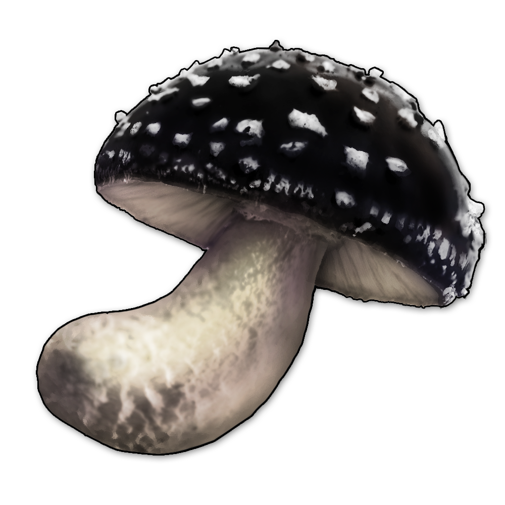 Icons_ingredients_onyxMushroom_KK.png