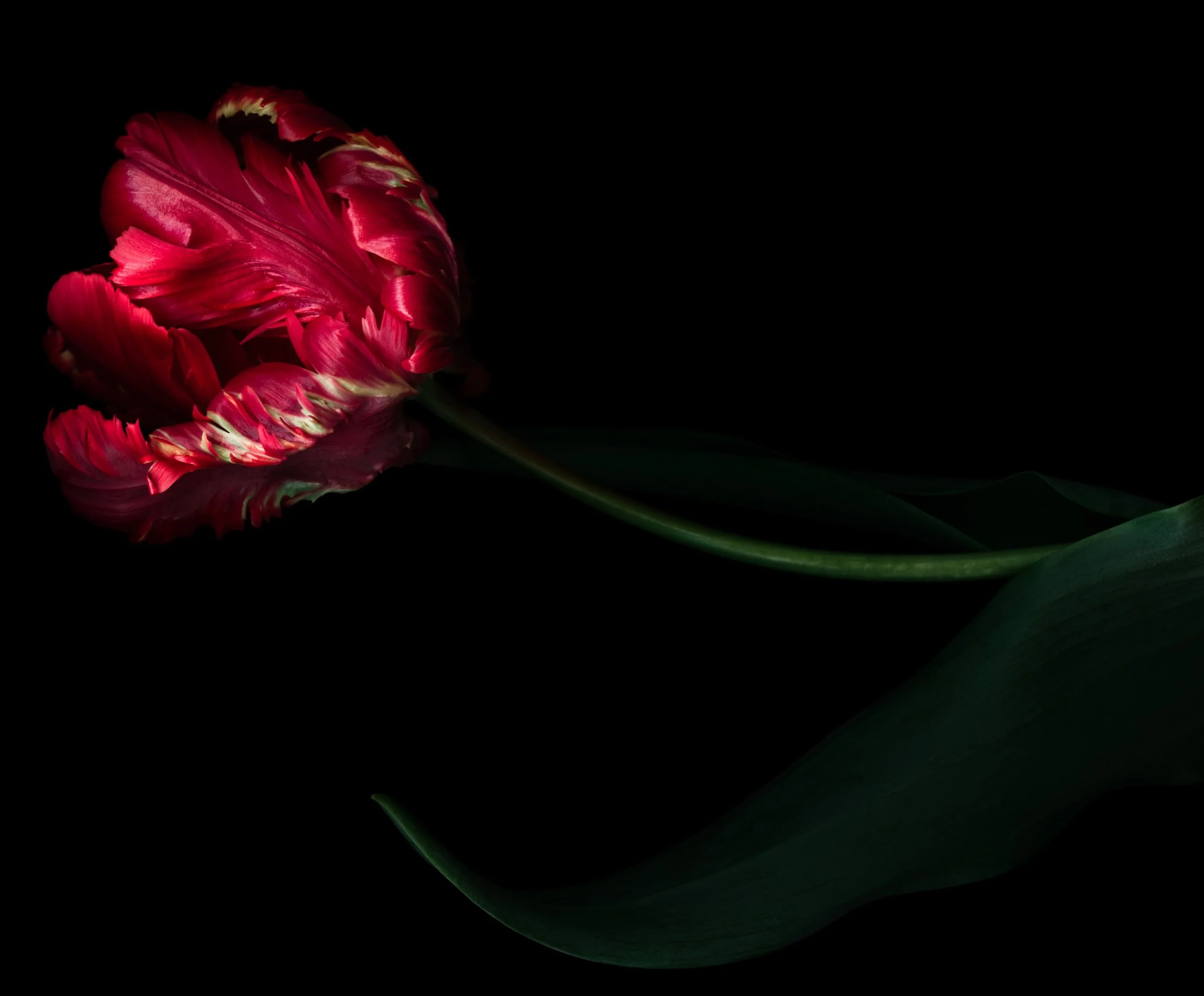 iStock-108327898.jpg