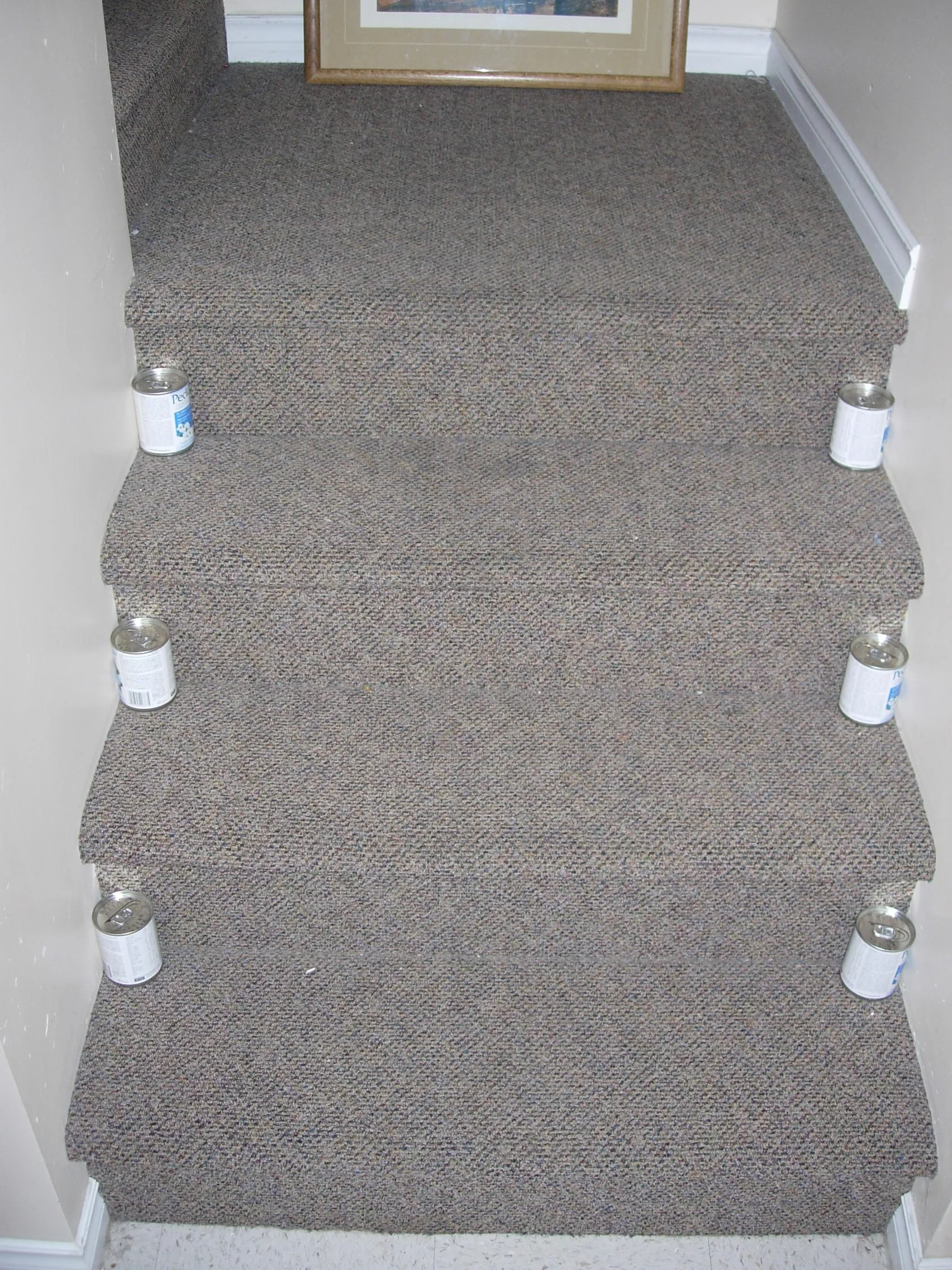 Syringes and Pediasure