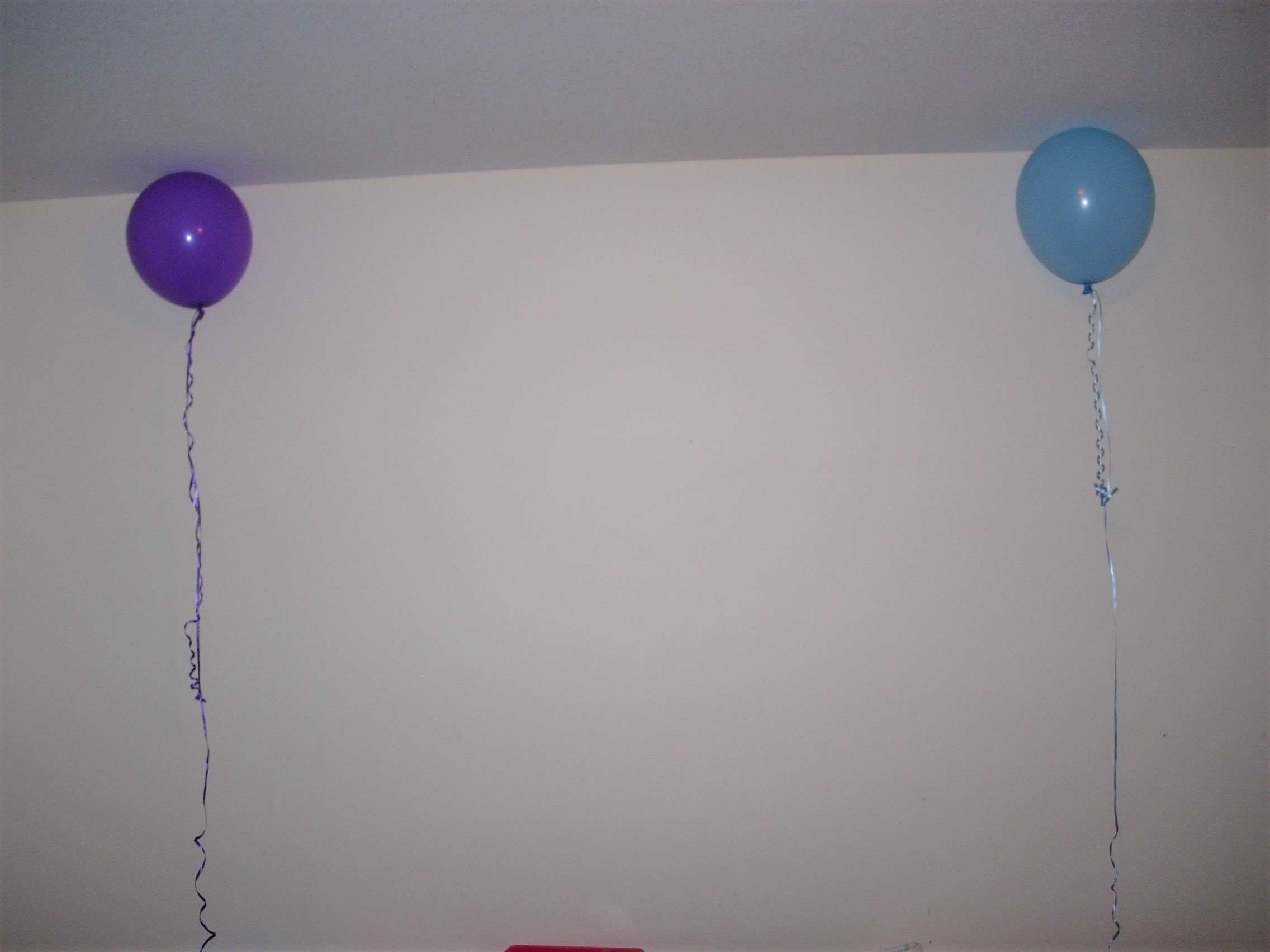 If Balloons Could Talk