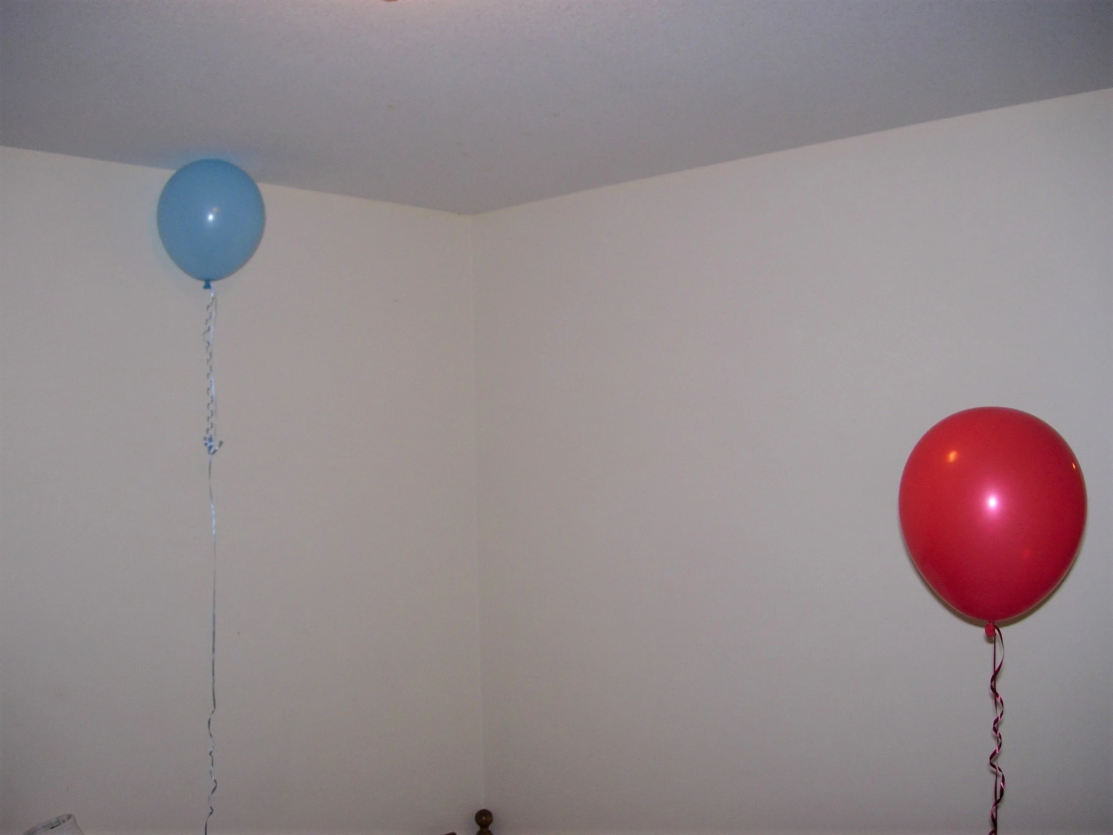 If Balloons Could Talk