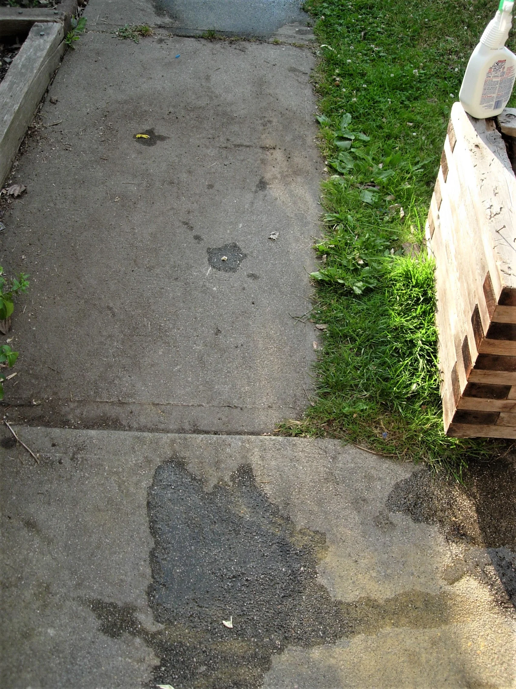 DSCN2591b.jpg