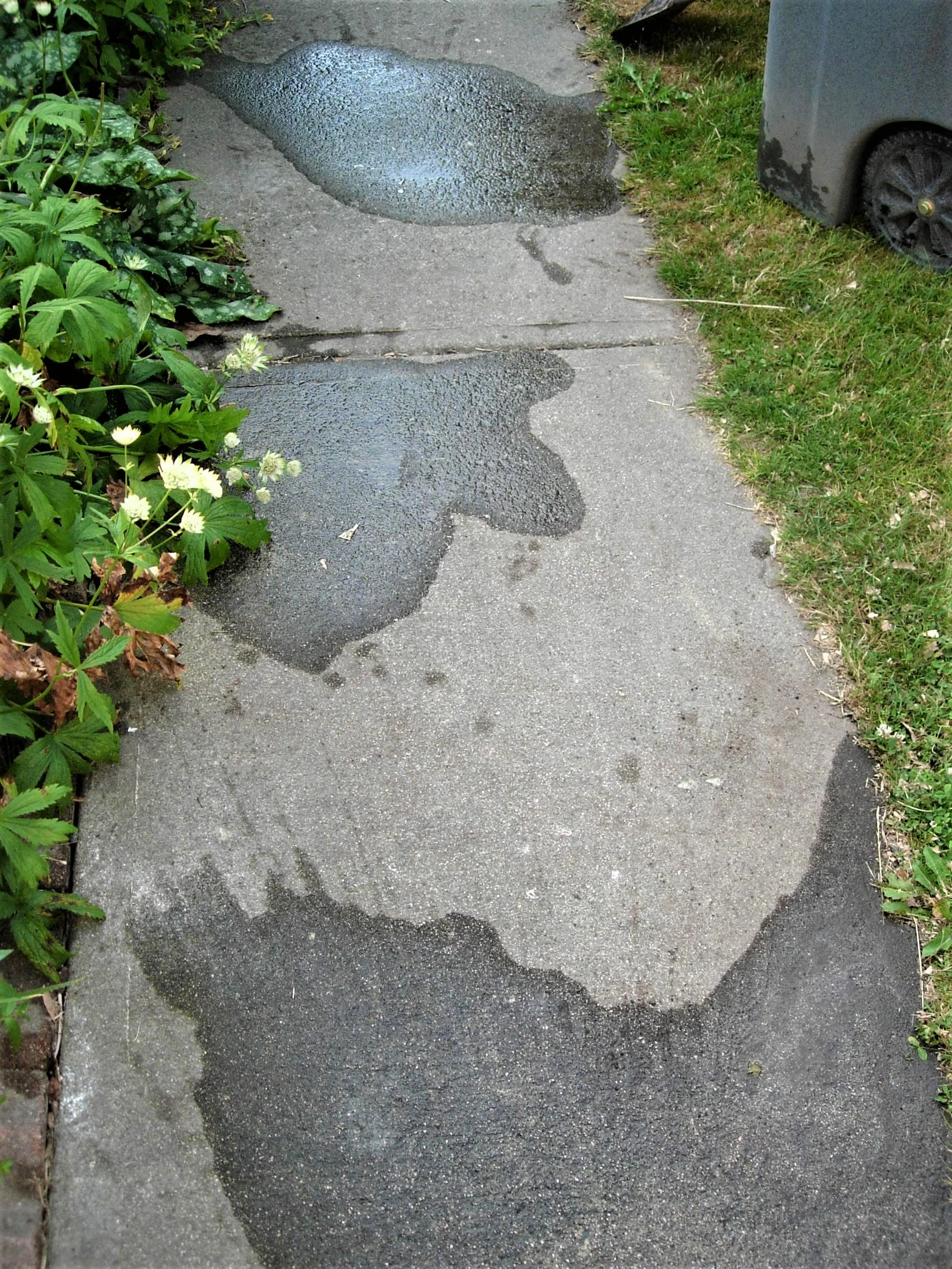 DSCN2592b.jpg