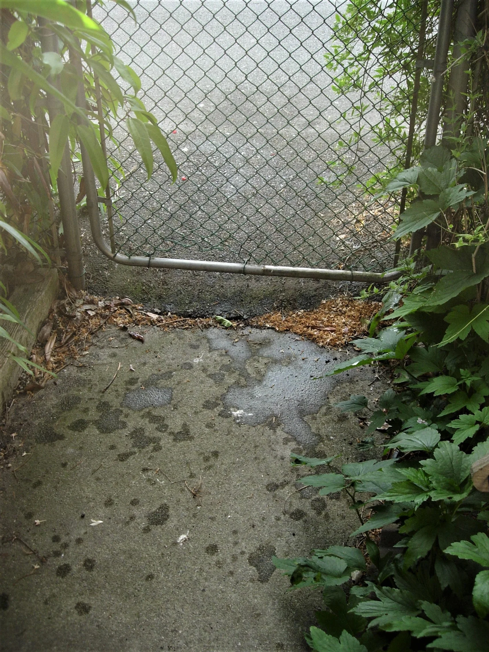 DSCN2594b.jpg