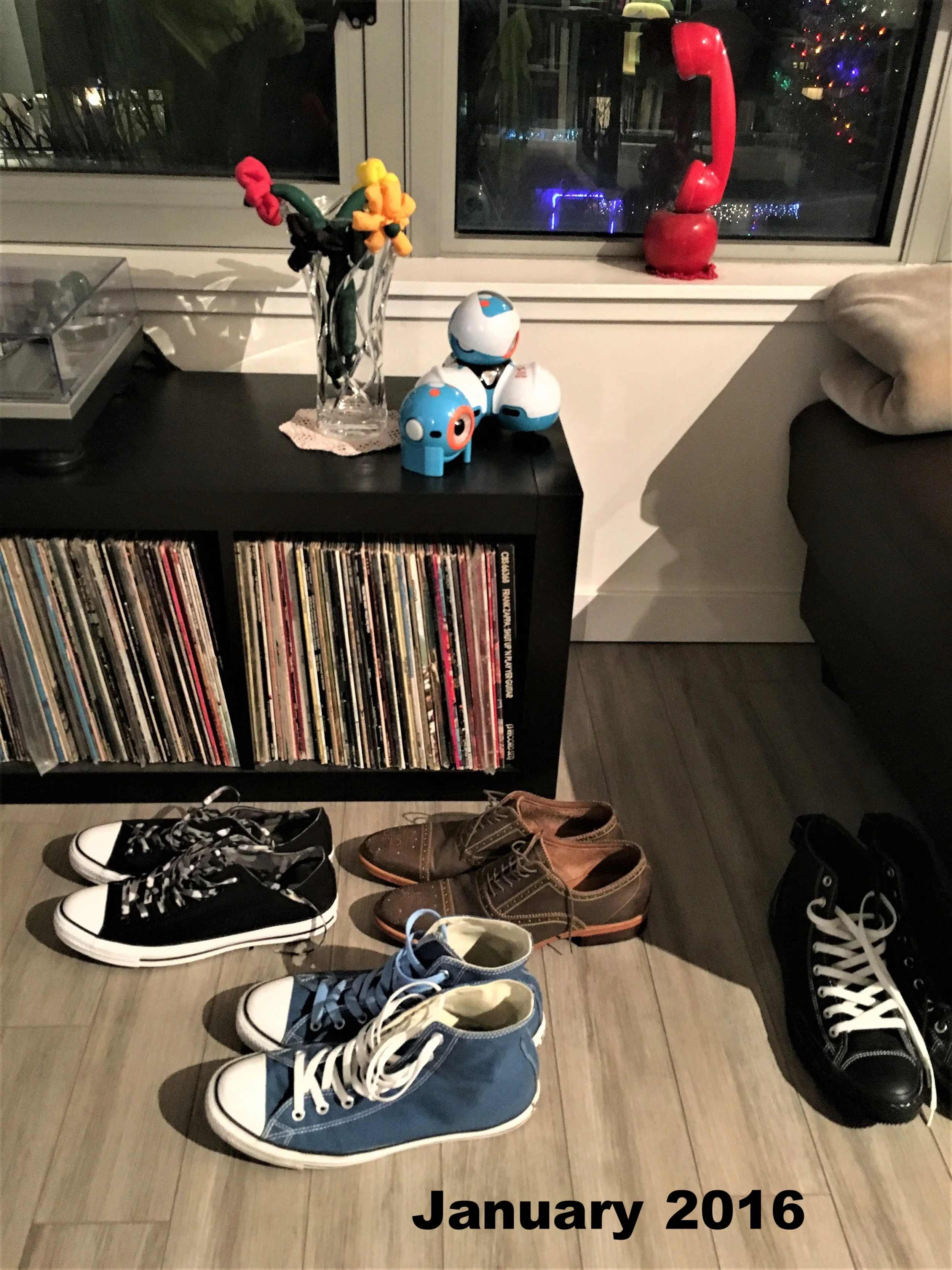 2016-01-17 19.34.24b.jpg