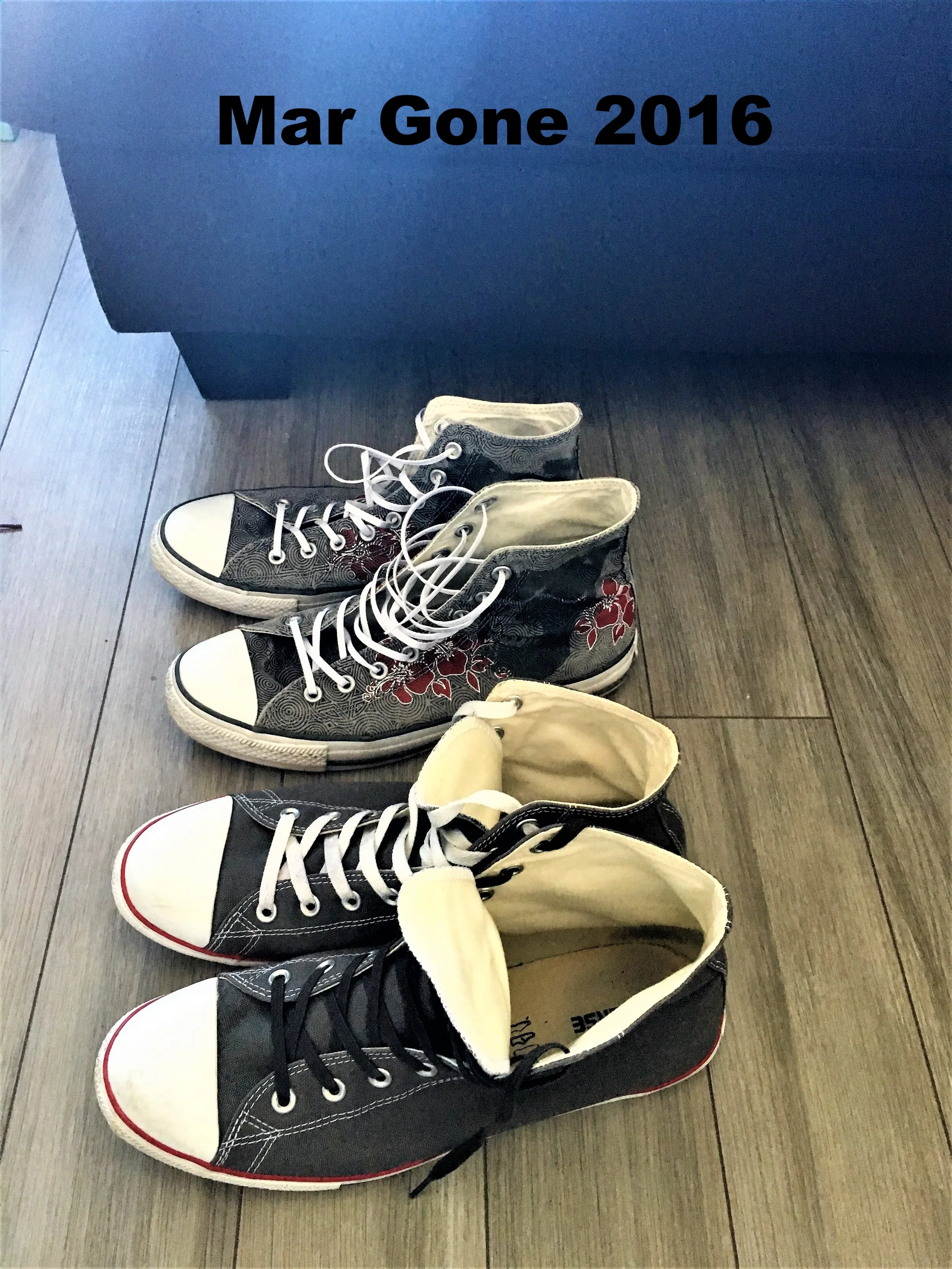 2016-03-31 10.41.57a.jpg
