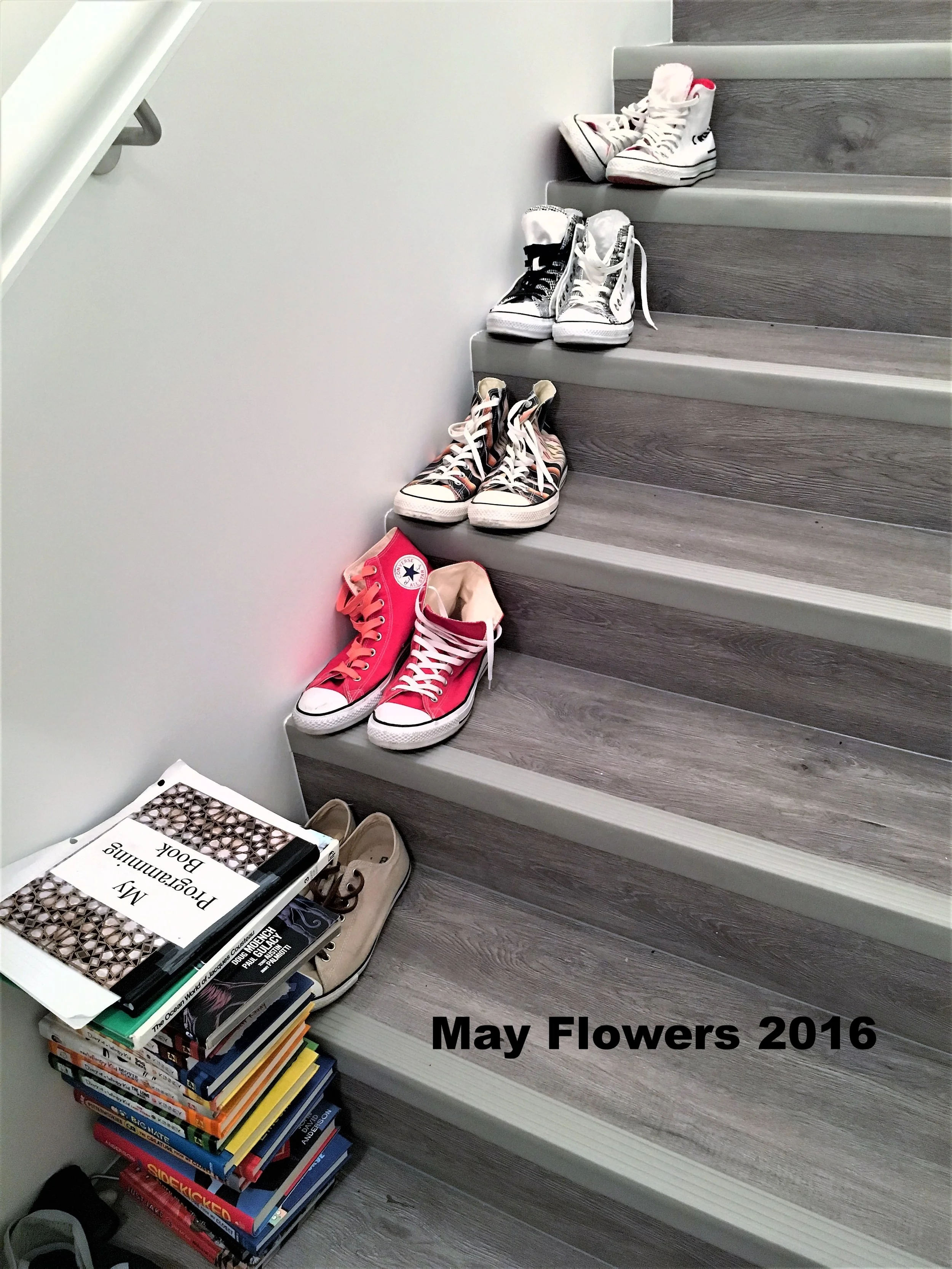 2016-05-01 22.22.37a.jpg