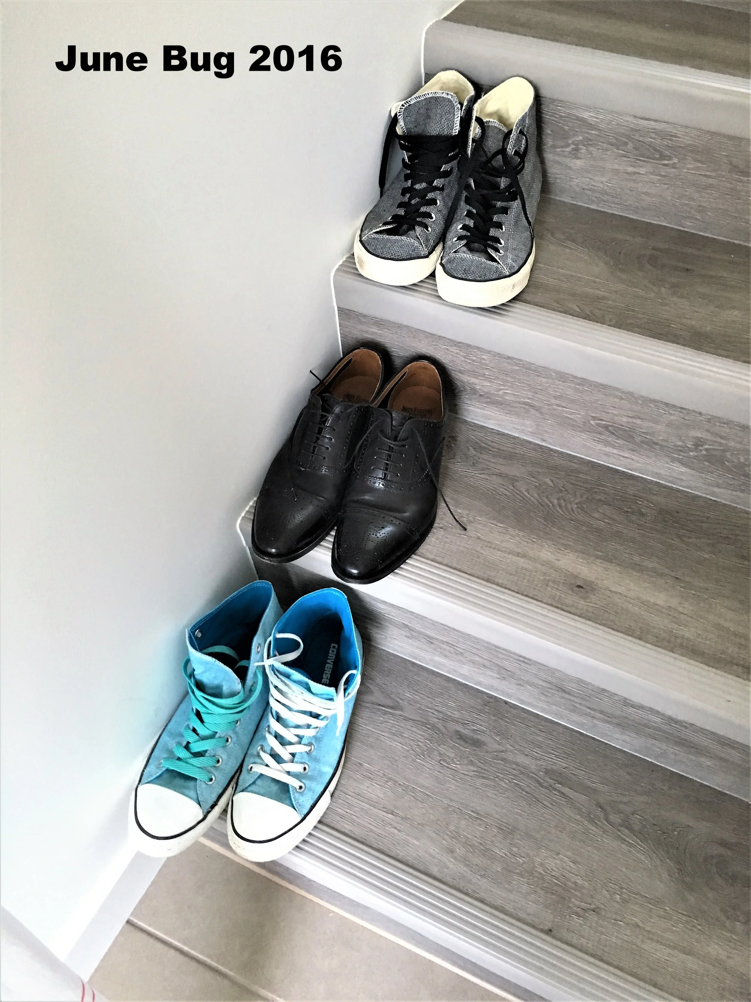 2016-06-06 17.58.43a.jpg