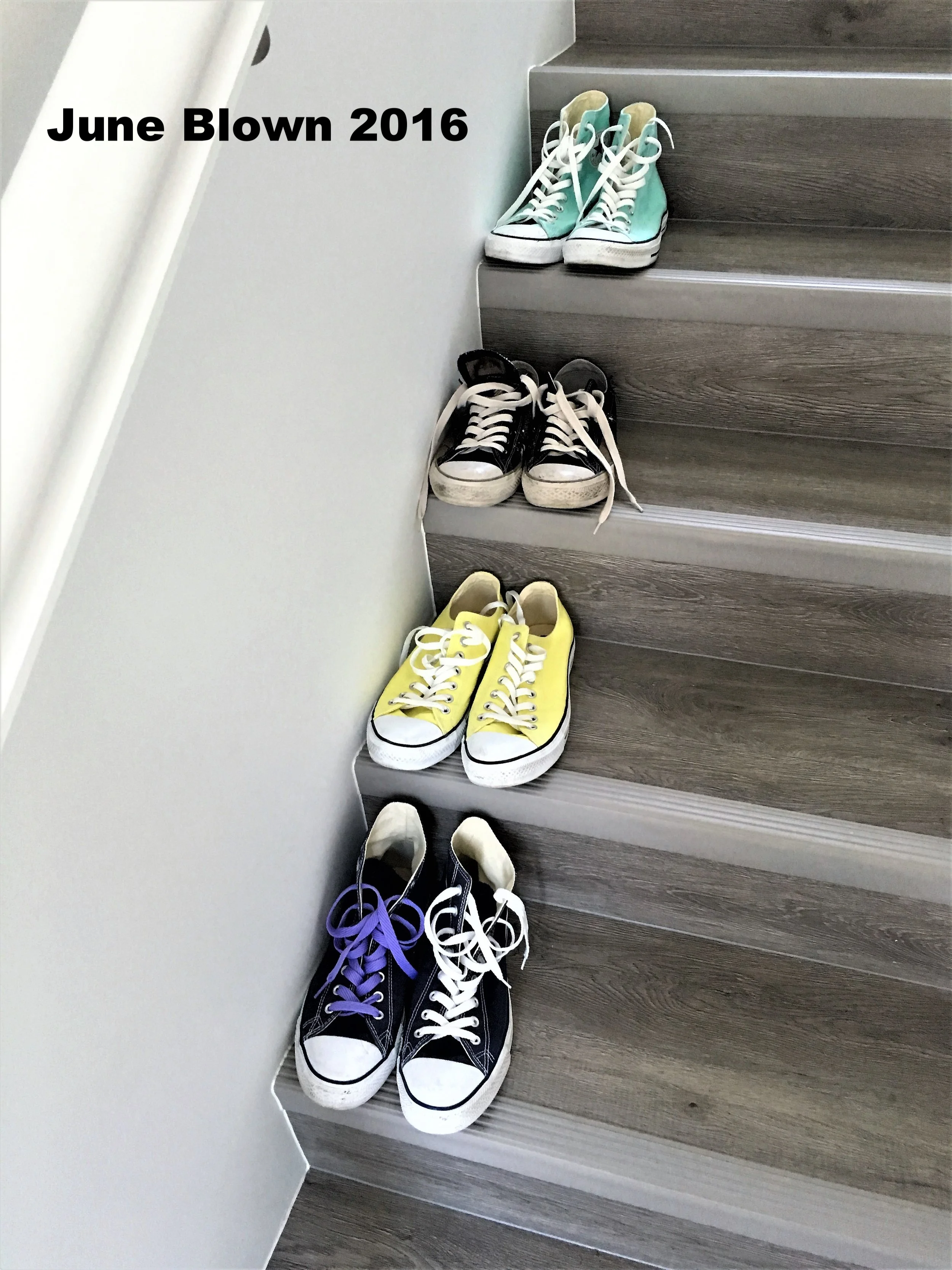 2016-06-29 17.37.39a.jpg
