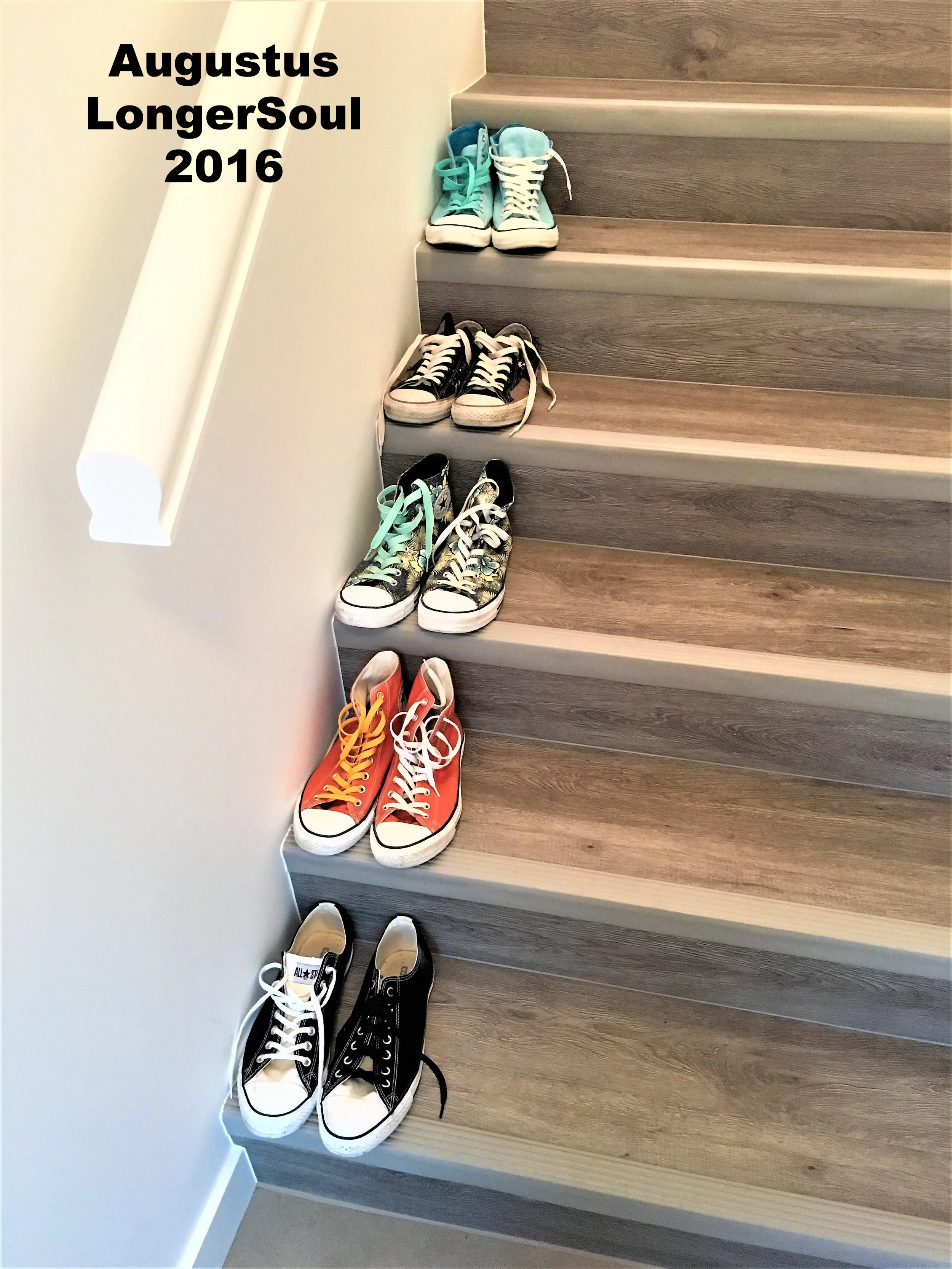 2016-08-17 19.51.51a.jpg