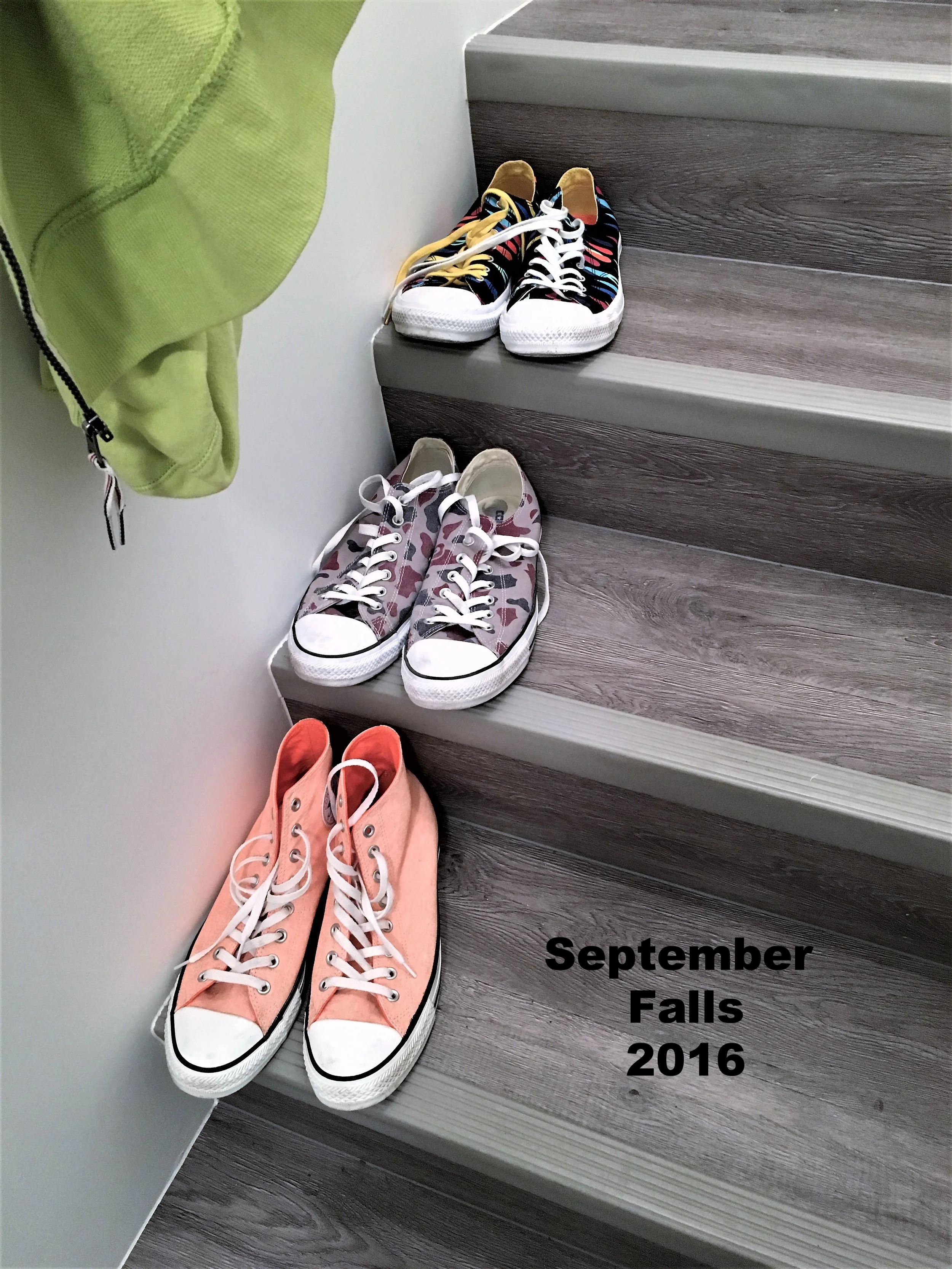 2016-09-19 20.02.45a.jpg