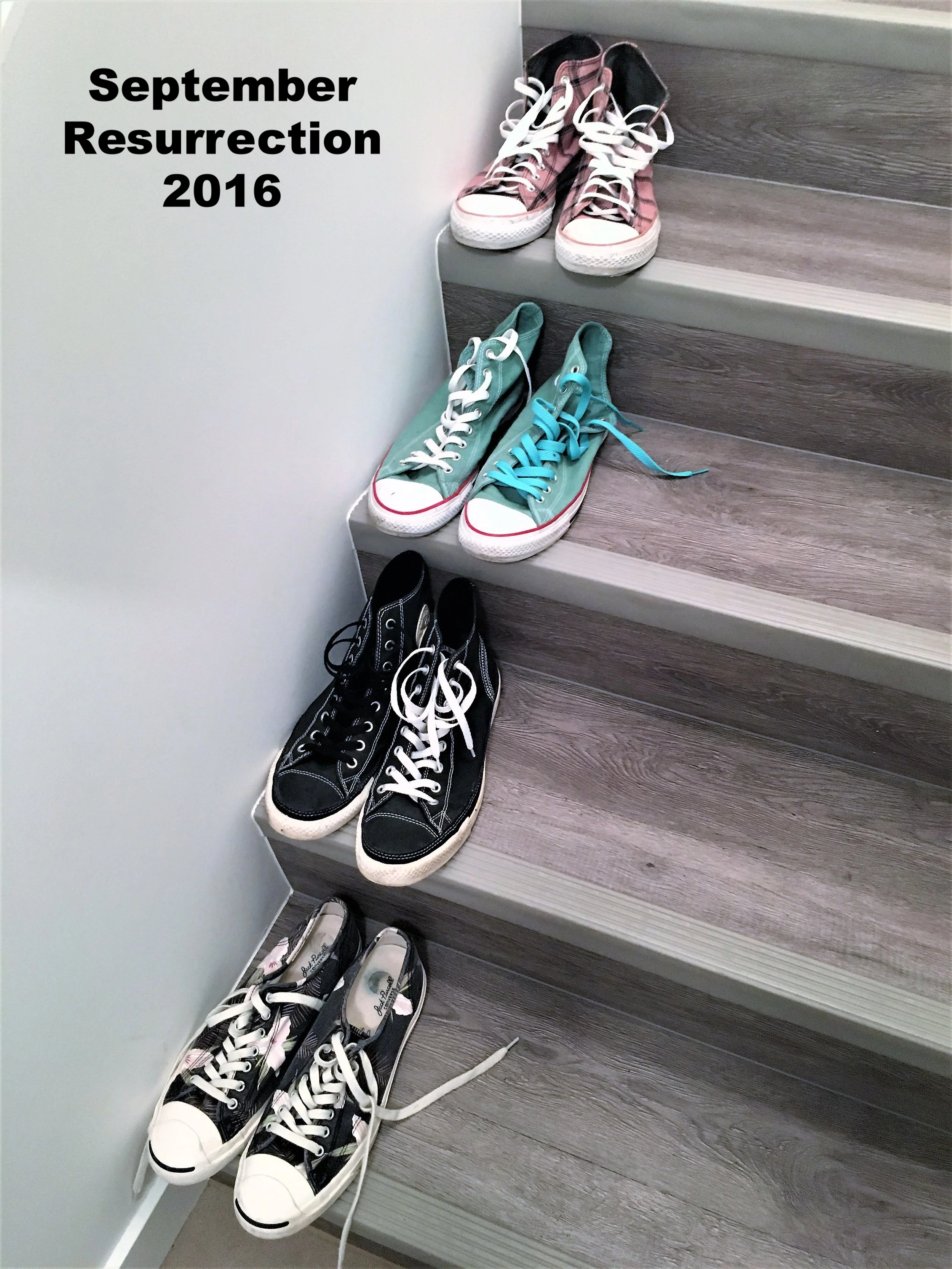 2016-09-23 22.23.09a.jpg