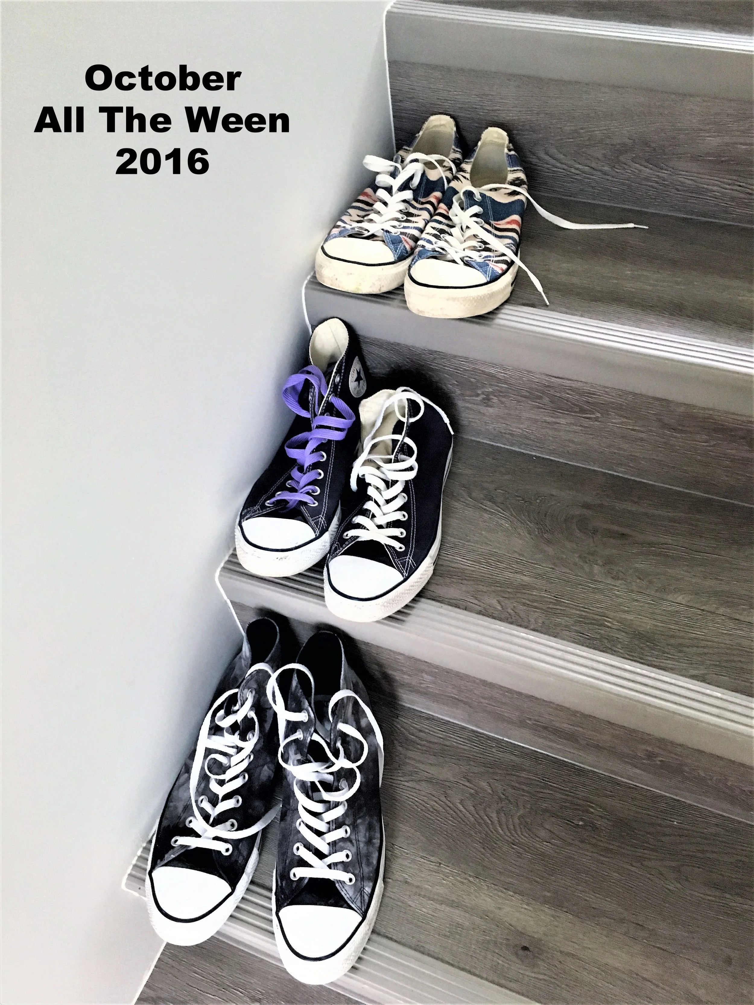 2016-10-28 14.48.03a.jpg