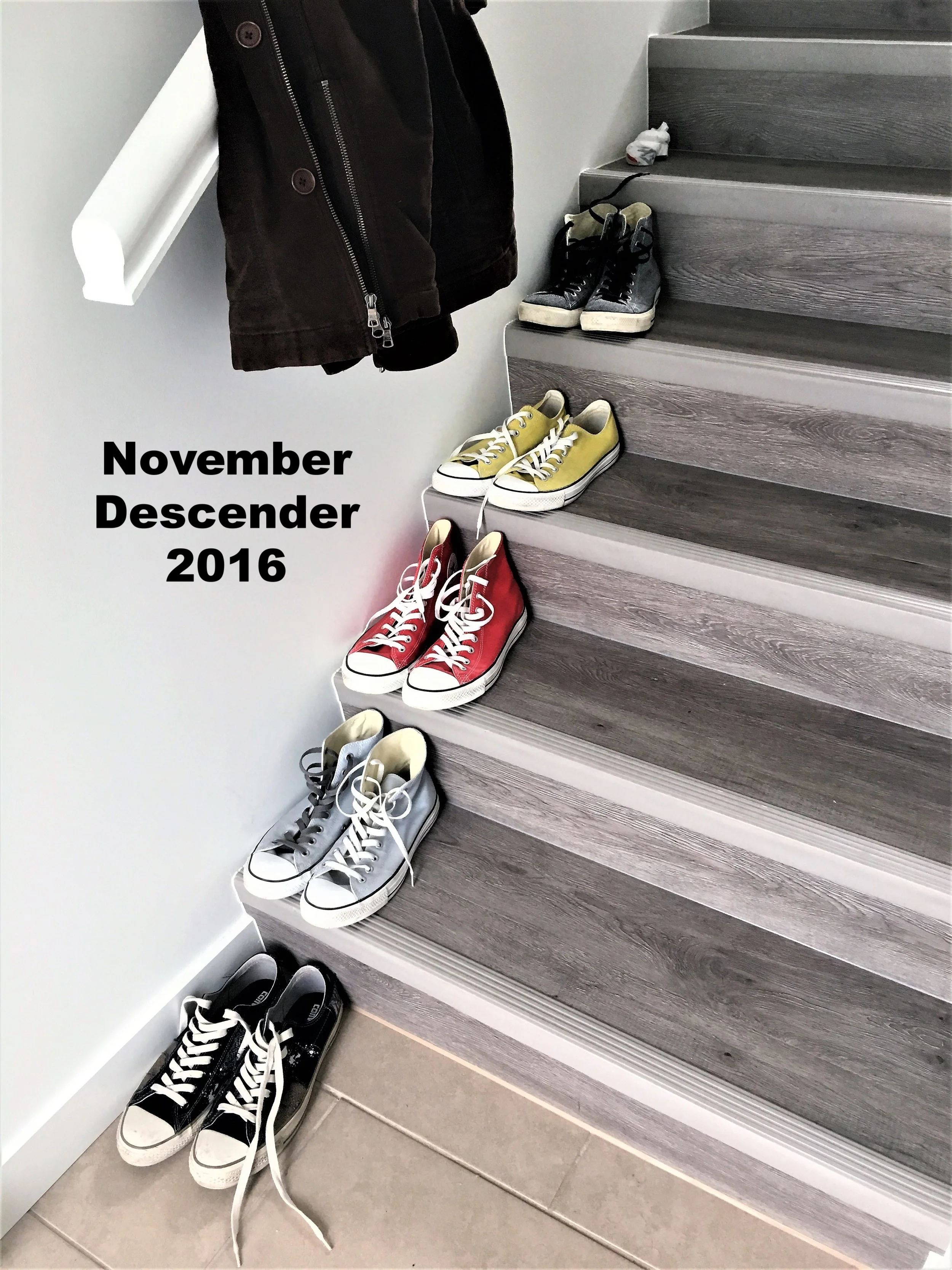 2016-11-01 13.08.10a.jpg