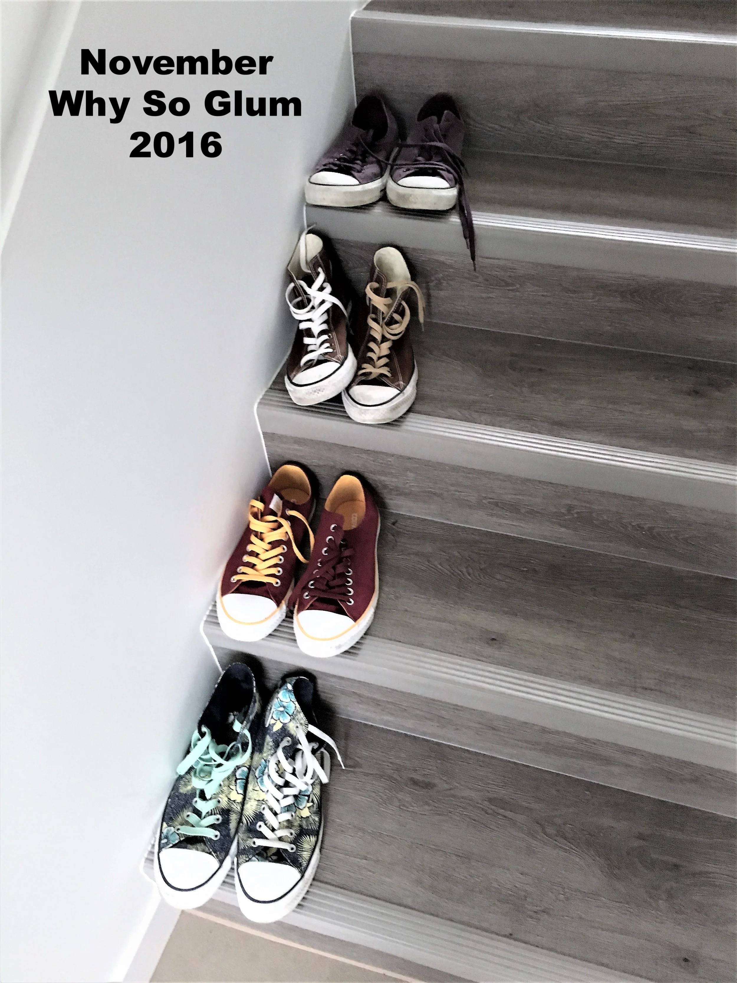 2016-11-12 13.32.41a.jpg