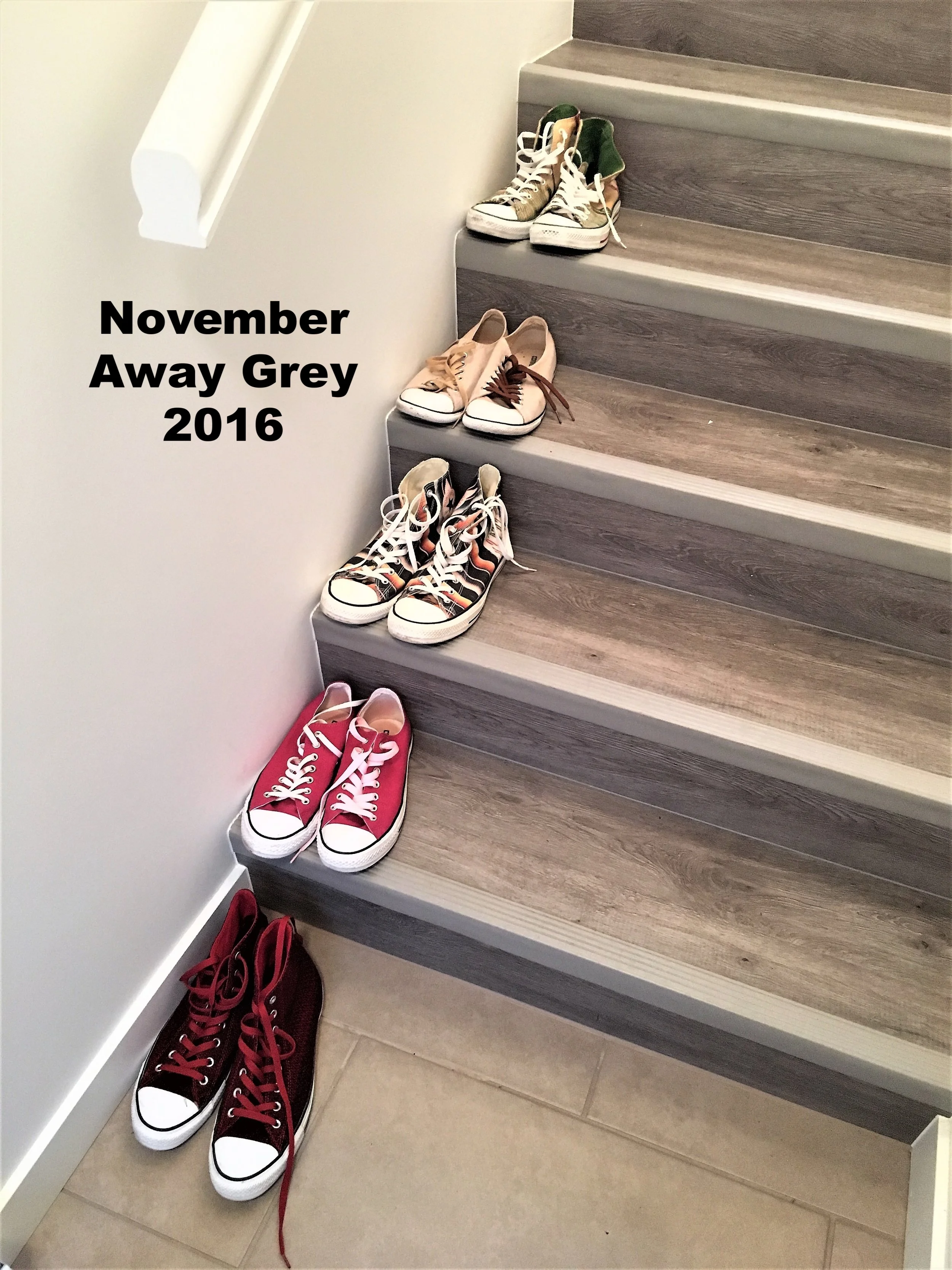 2016-11-20 15.05.20a.jpg