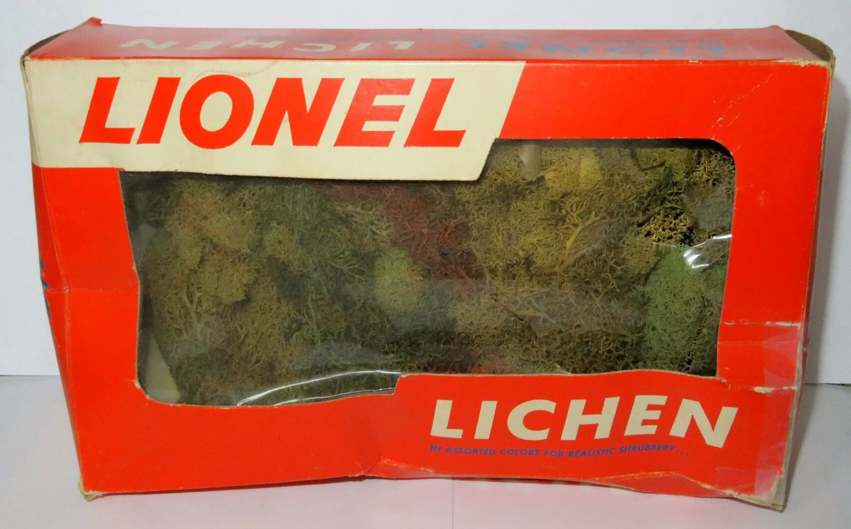 L971LICHEN.jpeg