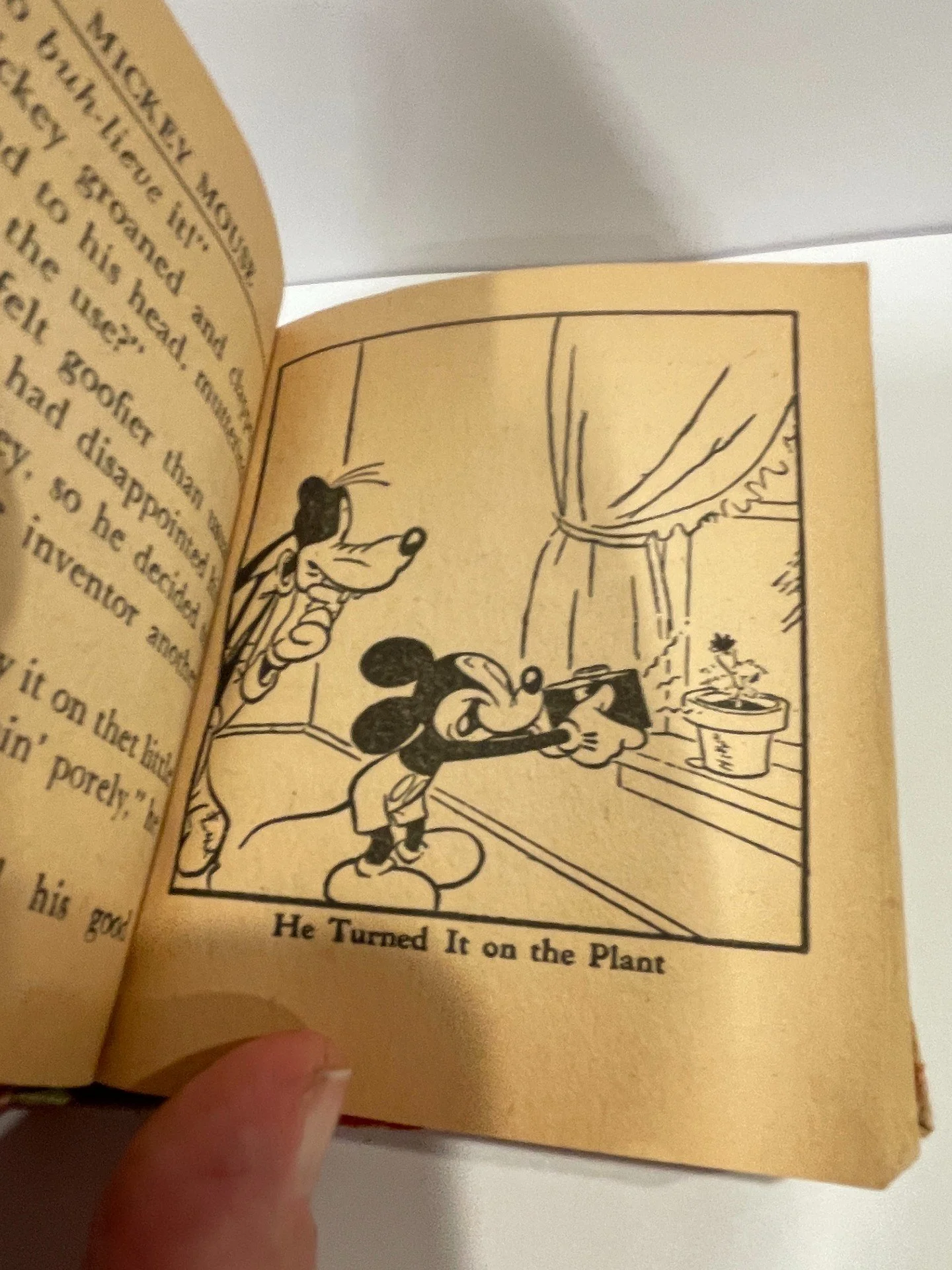 BLMICKEY1413d.jpg