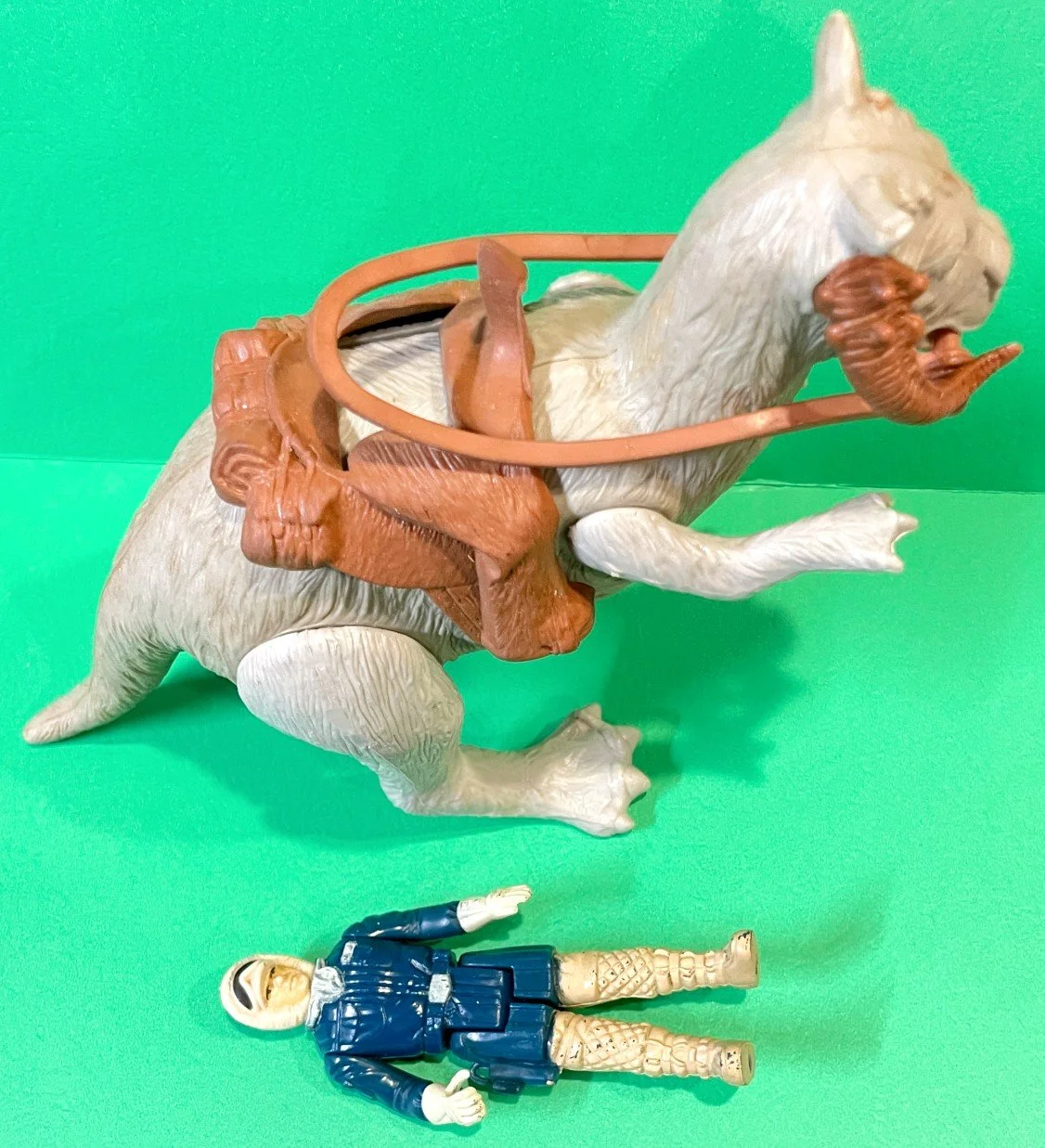 SWTAUNTAUN.HAHNb.jpg