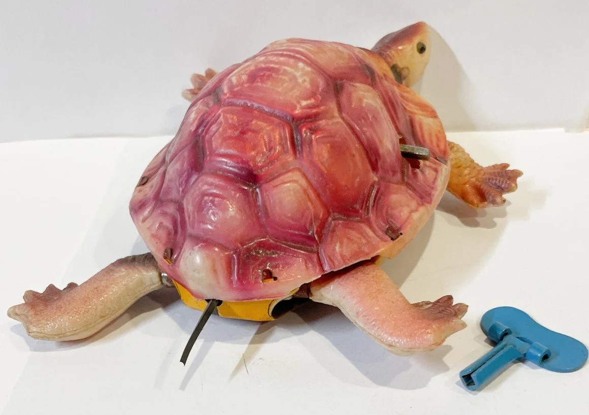 JTOJTURTTLEa.jpg