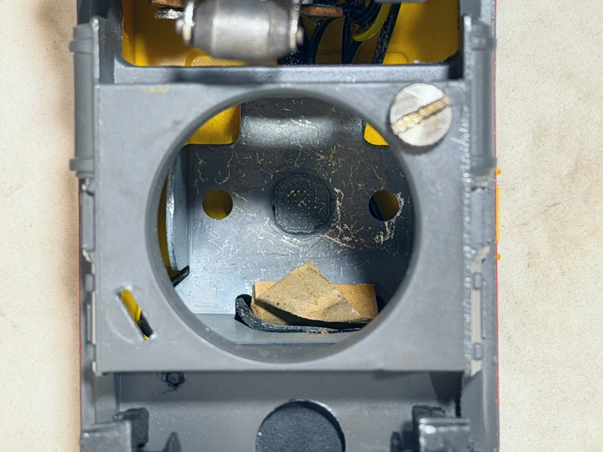 L2023AAOBh.jpg