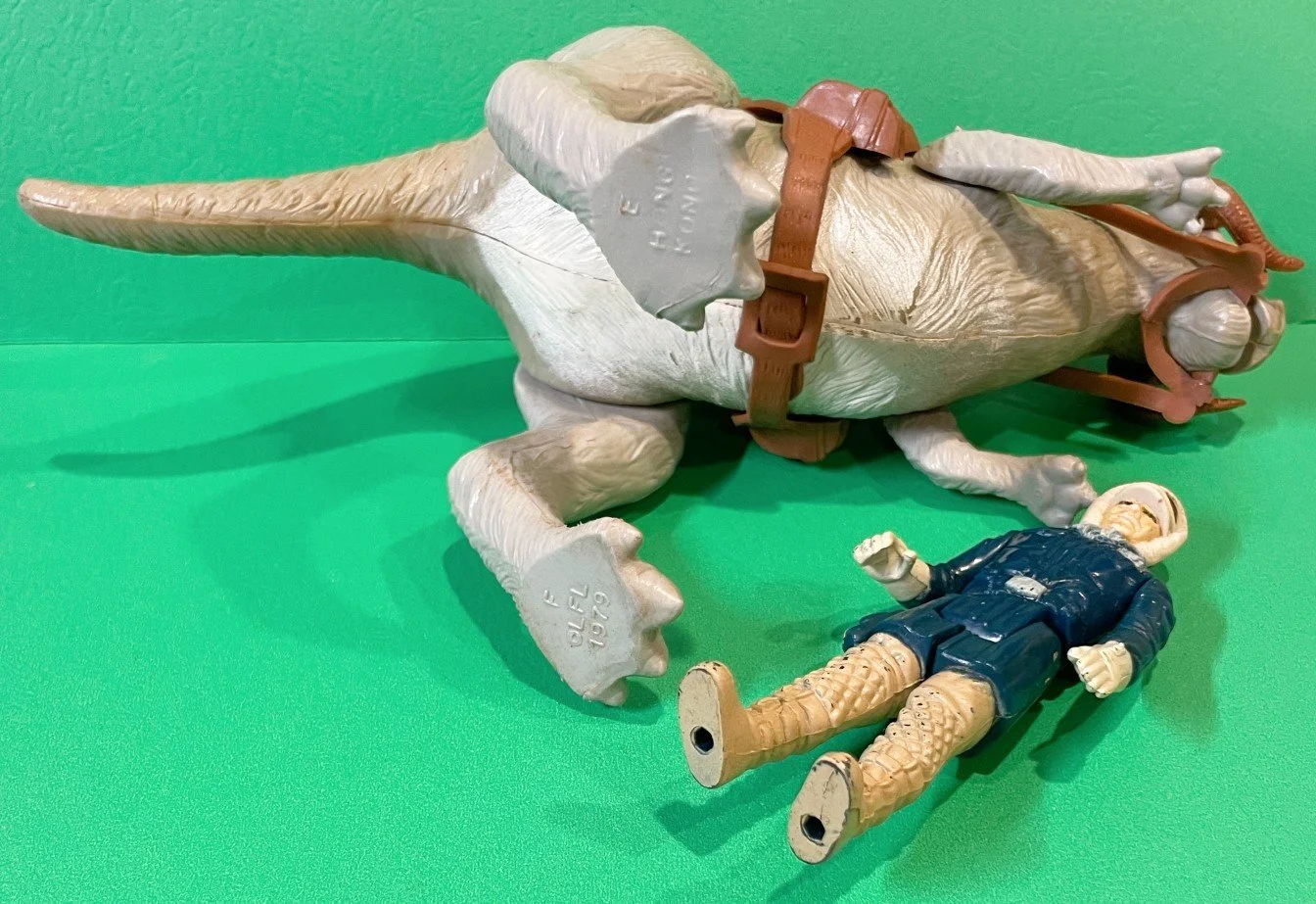 SWTAUNTAUN.HAHNc.jpg