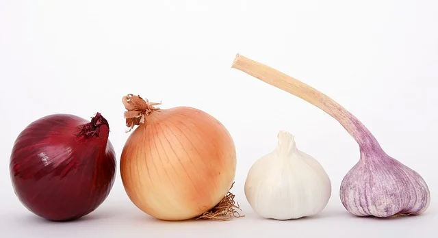 garlic onion.jpg