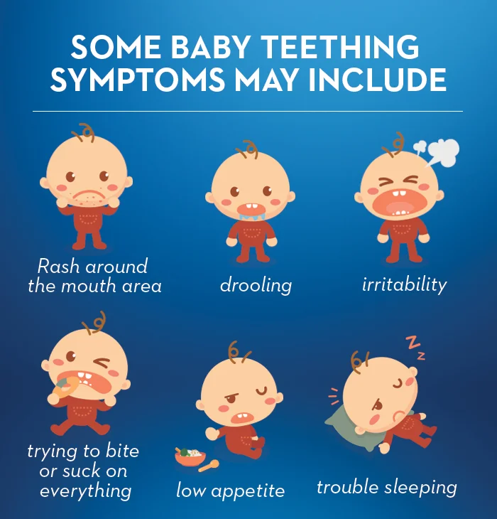 2.5 year old teething