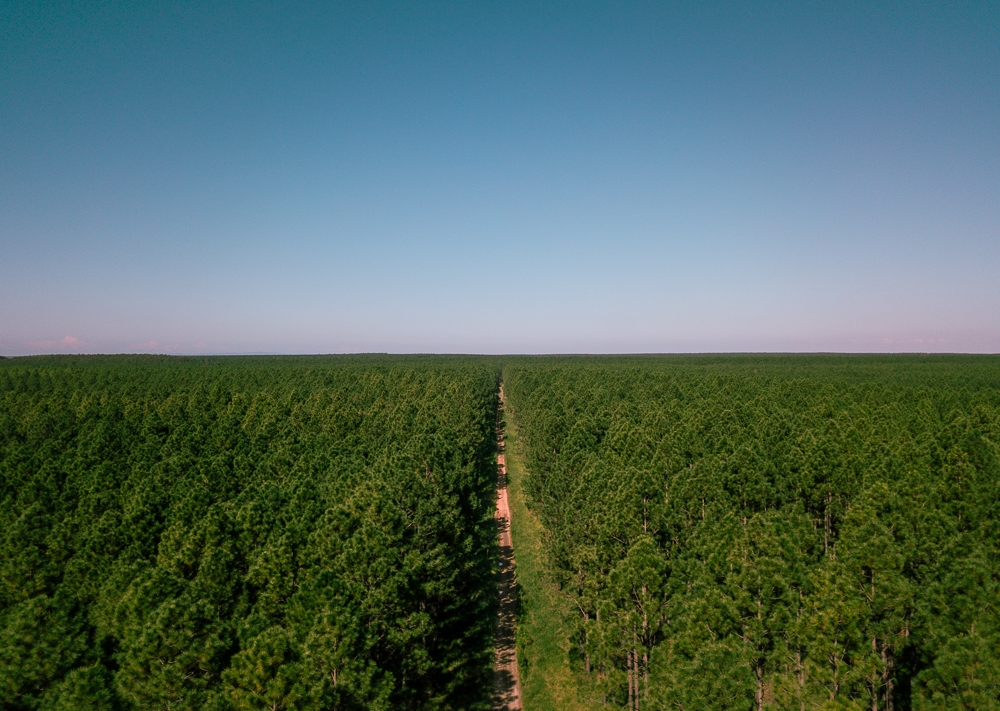 DJI_0014.jpg