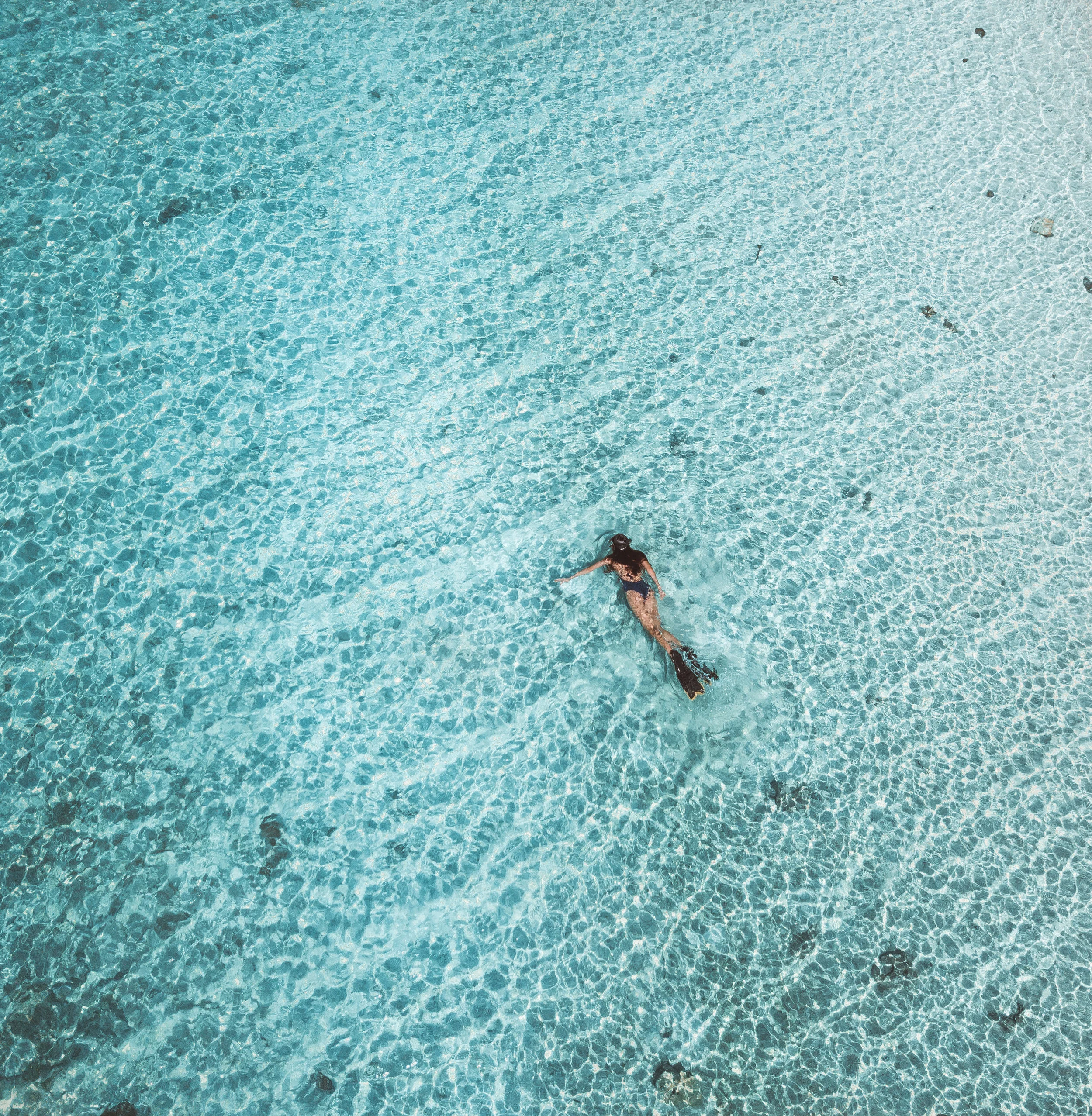 DJI_0974.jpg
