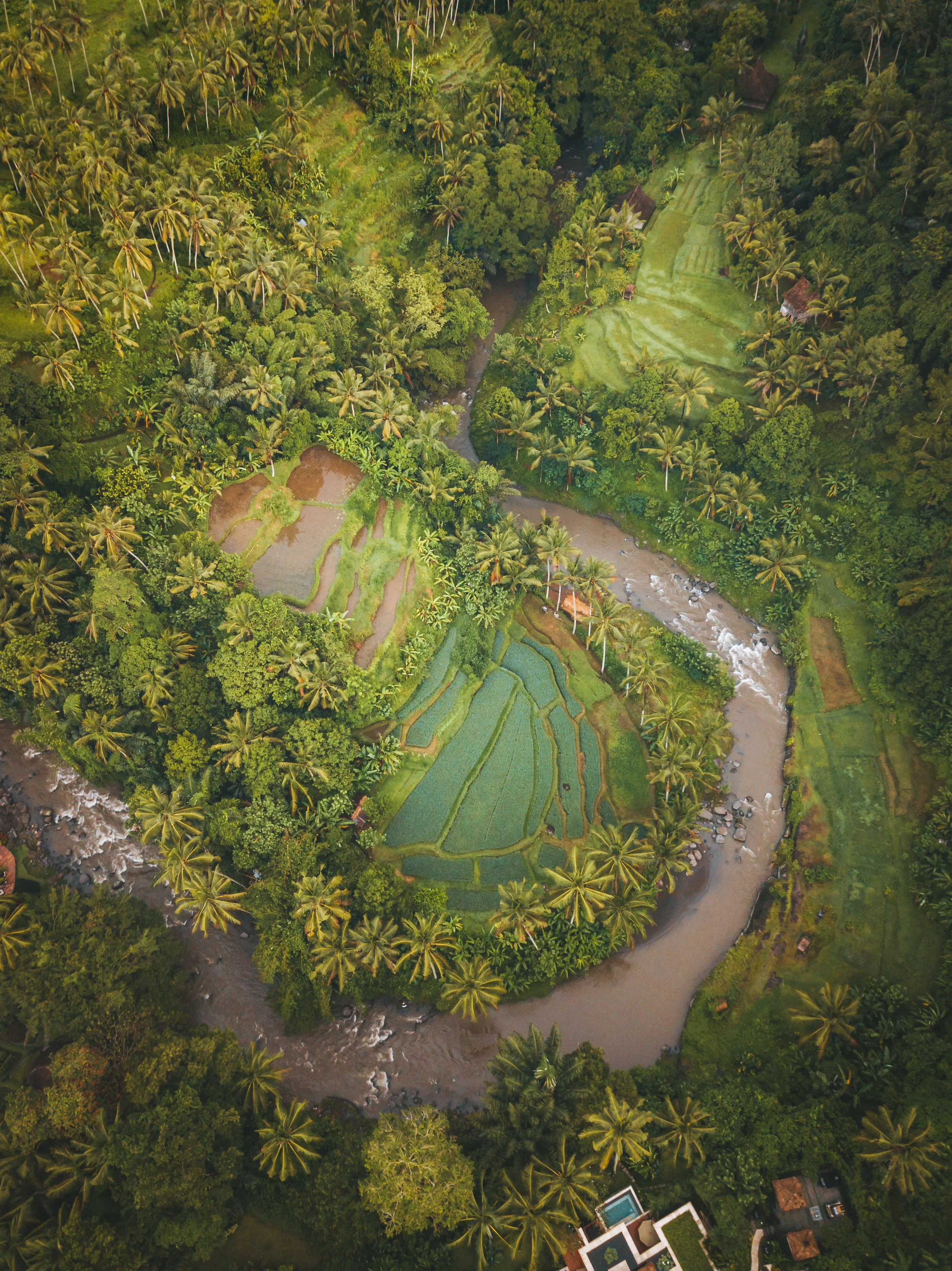 DJI_0505.jpg