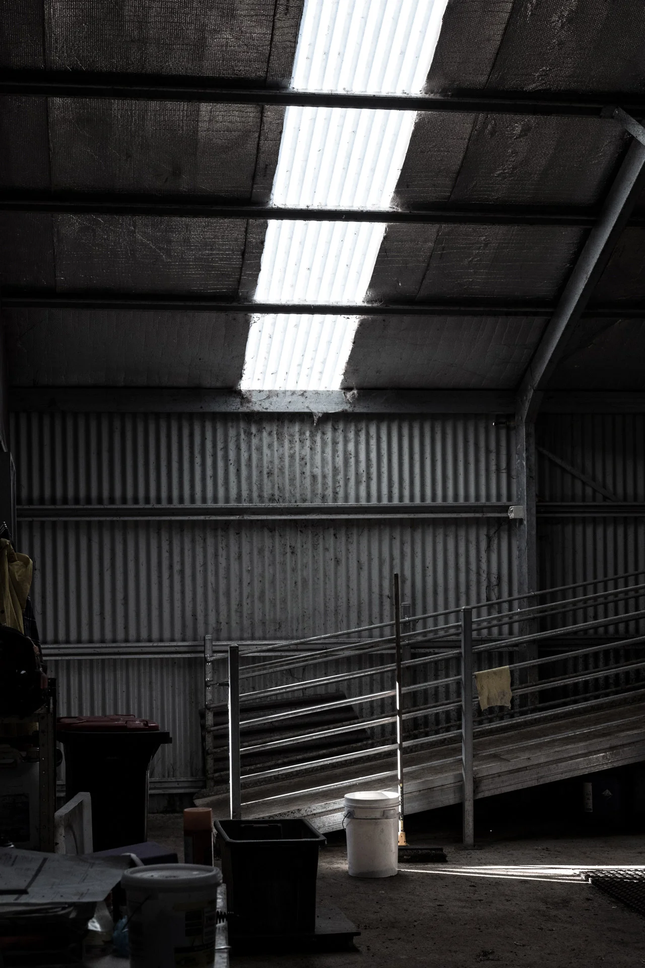 Pecora Dairy - First Raw Milk Cheese in Australia - by Flore Vallery-Radot-A1100676.jpg
