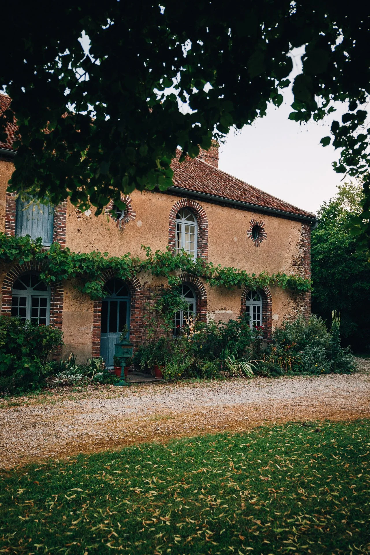Flore_Vallery-Radot_France-1220610.jpg