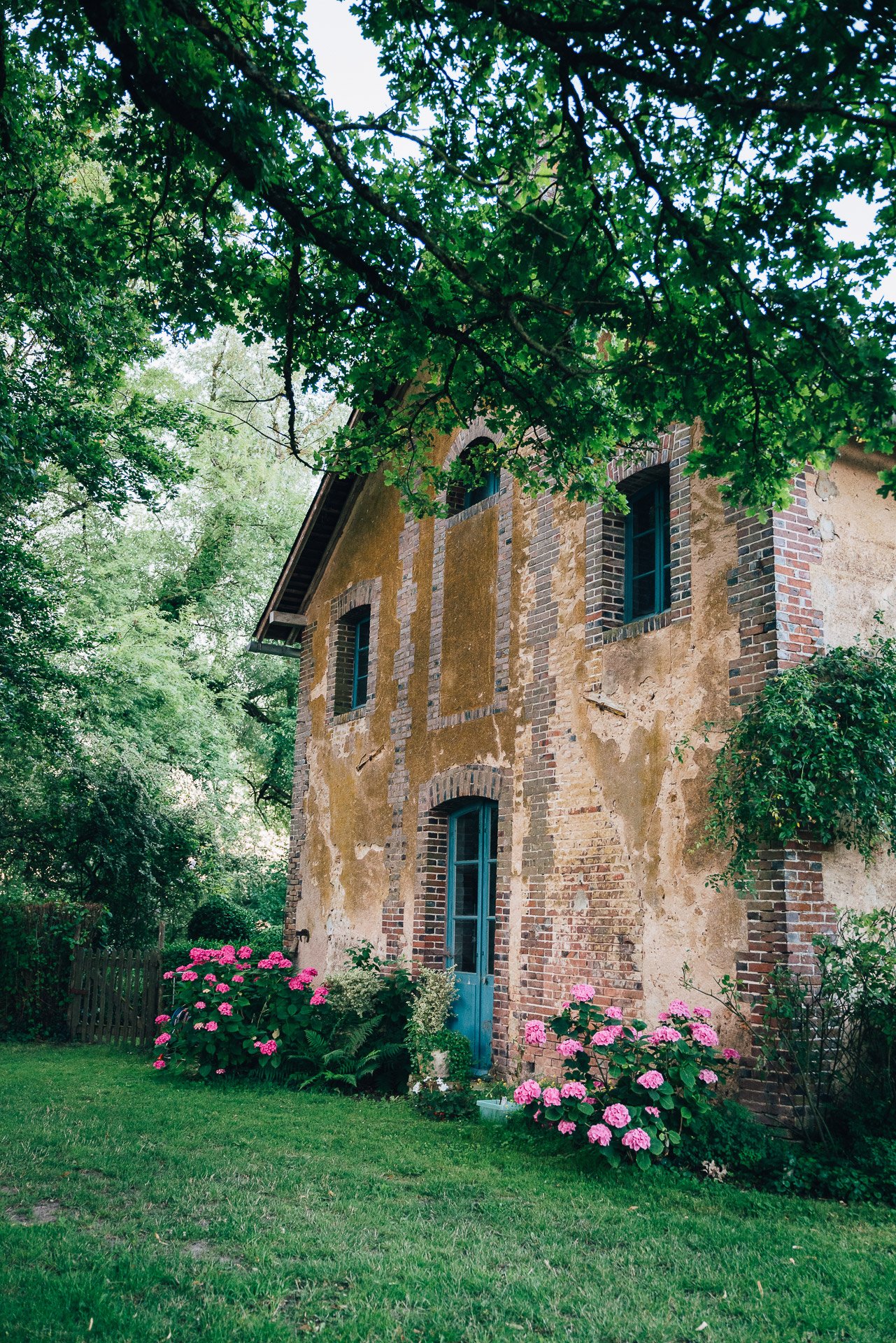 Flore_Vallery-Radot_France-1220611.jpg