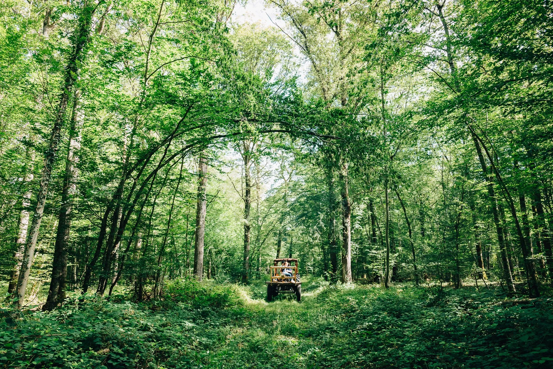 Flore_Vallery-Radot_France-1220966-2.jpg