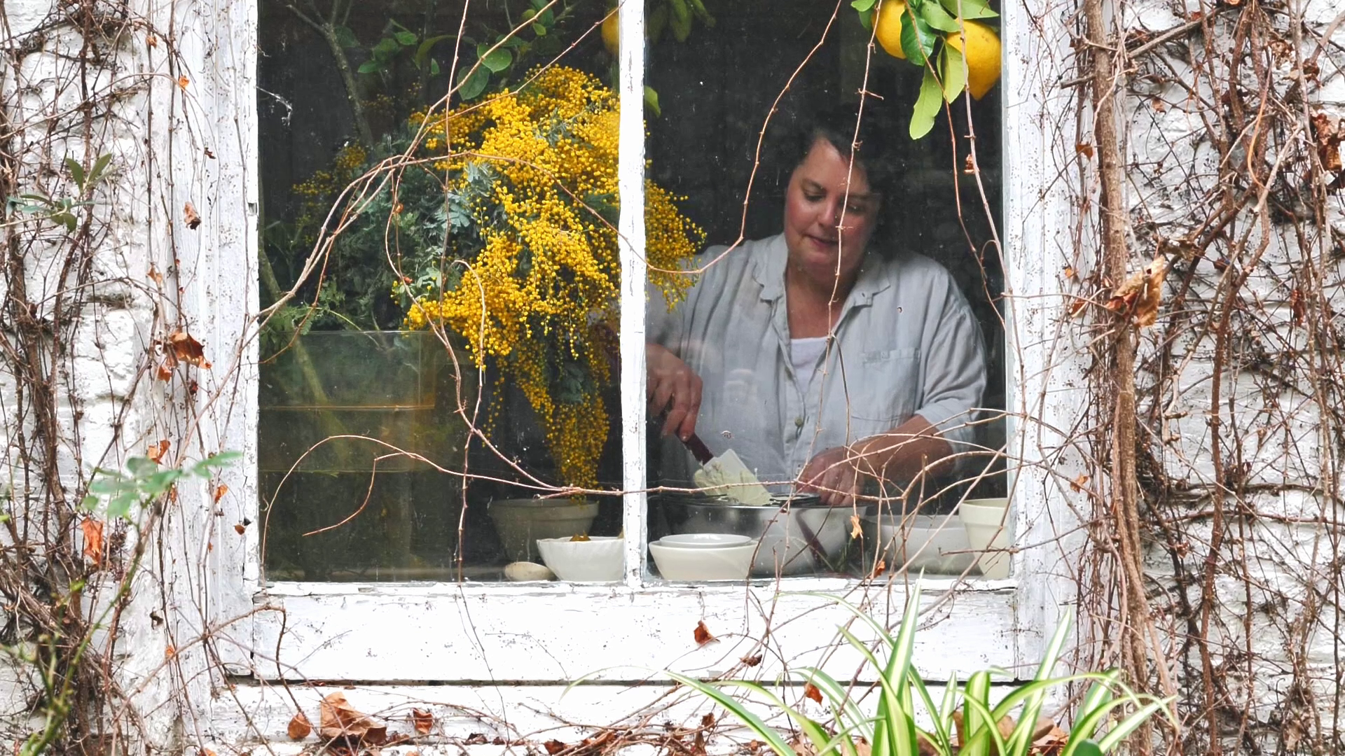   Nadine Ingram  Cake artist - Business owner  Sydney - New South Wales - Australia  