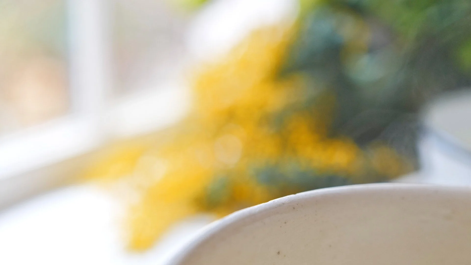 nadine-ingram-bowl-mimosa-documentary-photography-flore-vallery-radot.jpg