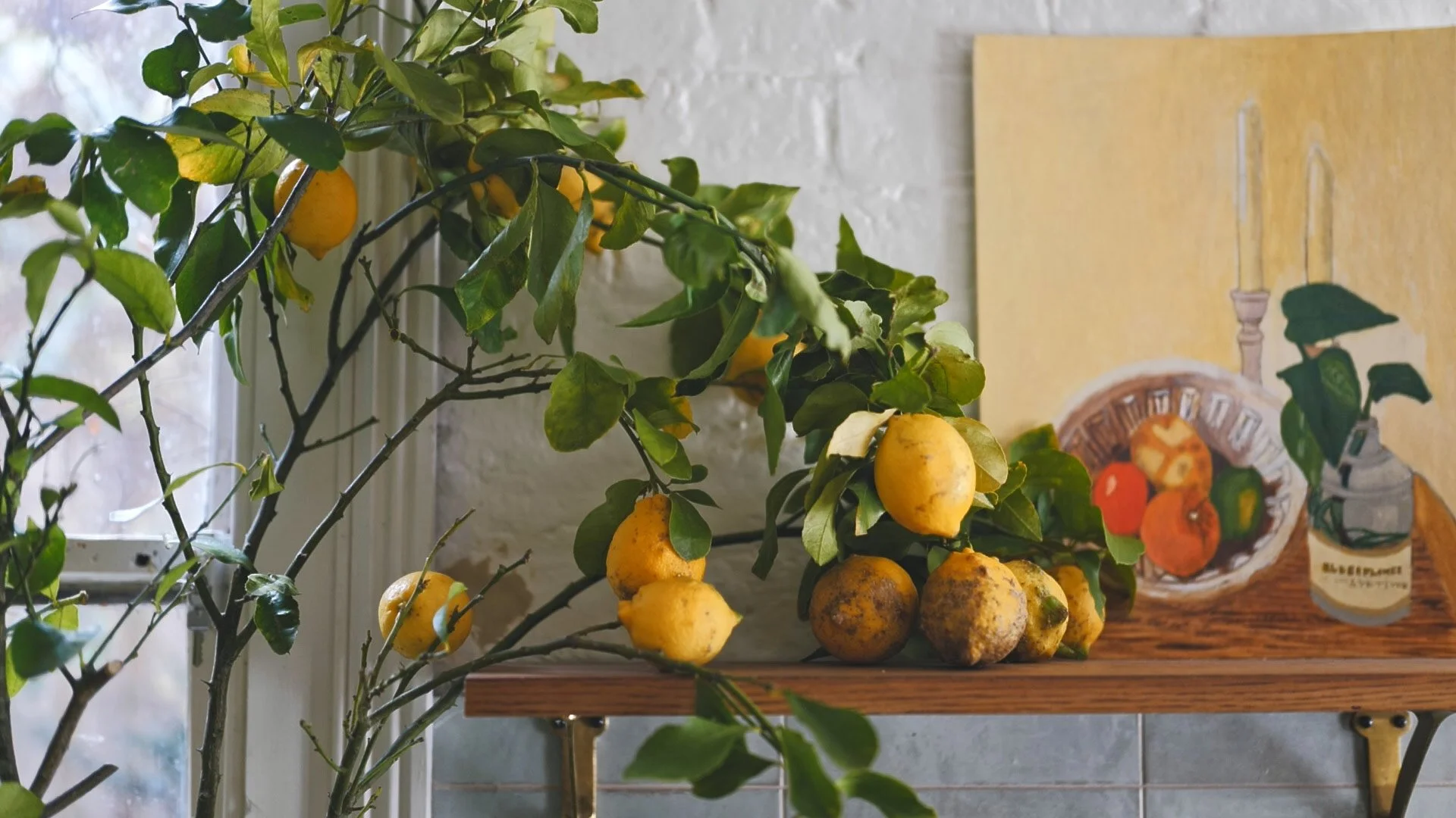 nadine-ingram-citrus-still-life-documentary-photography-flore-vallery-radot.jpg
