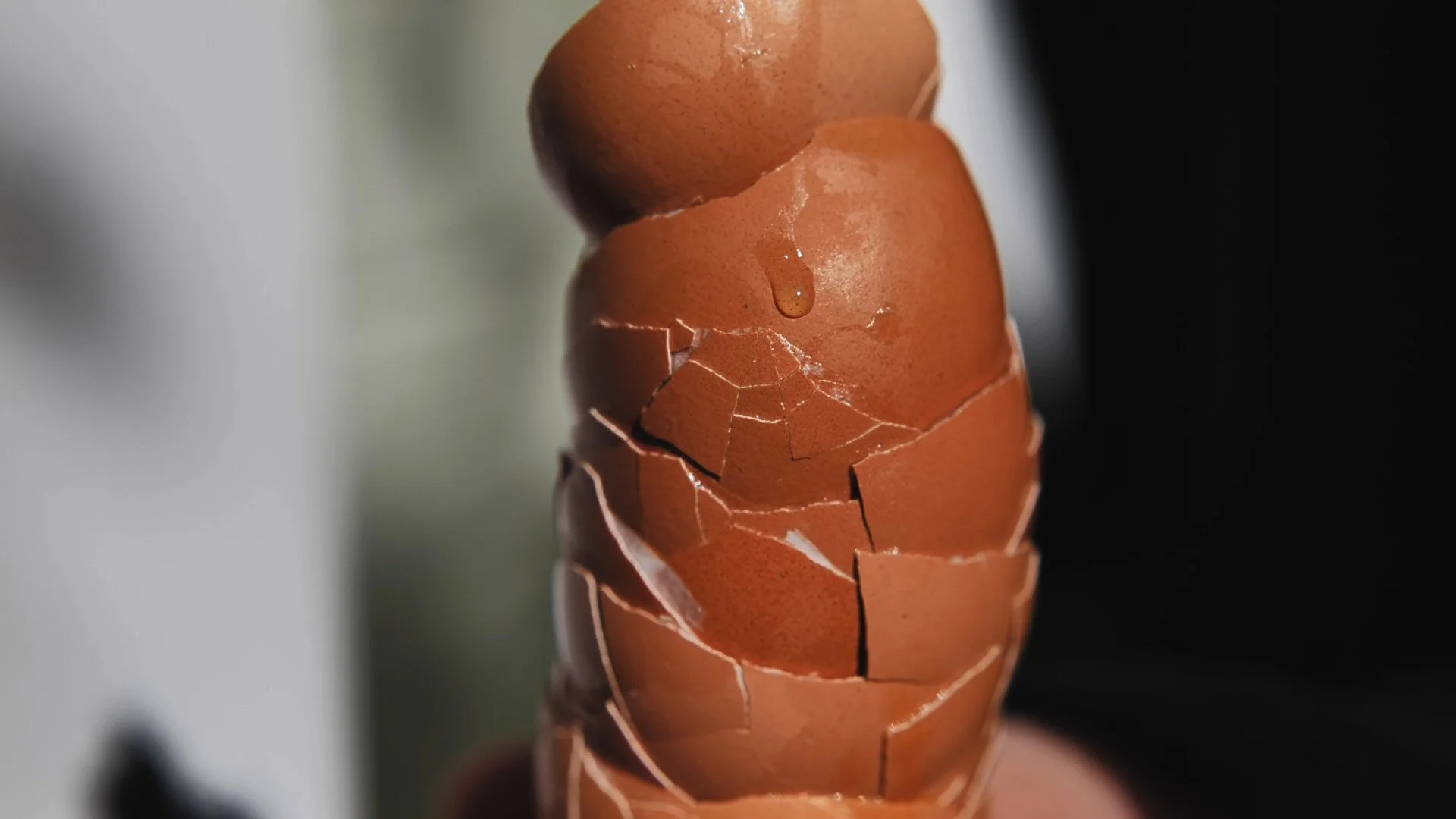 nadine-ingram-eggshell-detail-documentary-photography-flore-vallery-radot.jpg