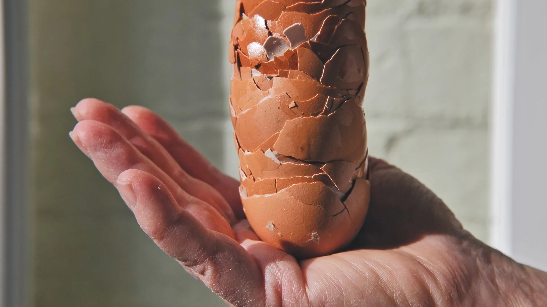 nadine-ingram-eggshell-held-documentary-photography-flore-vallery-radot.jpg