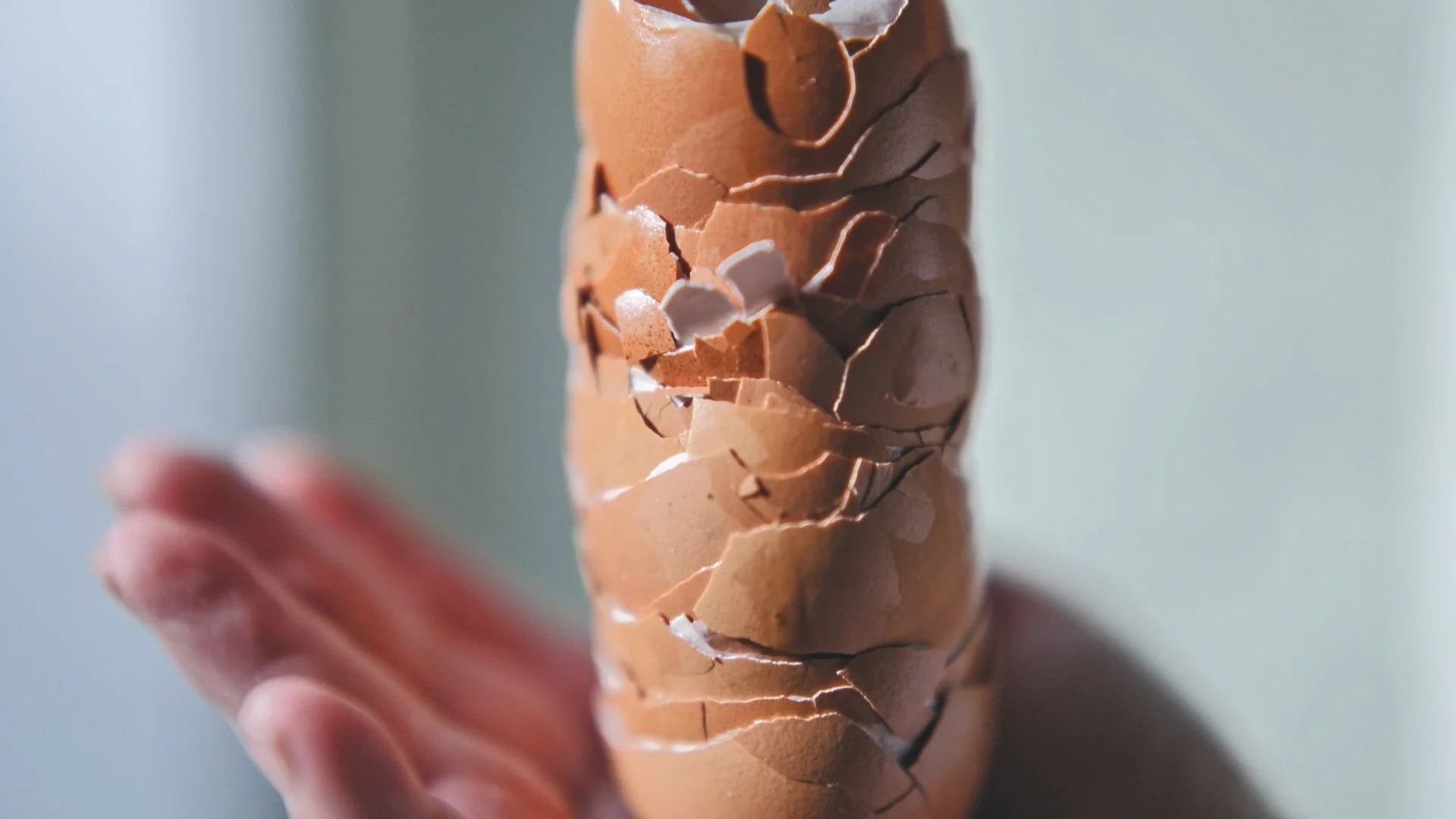 nadine-ingram-eggshell-in-hand-documentary-photography-flore-vallery-radot.jpg