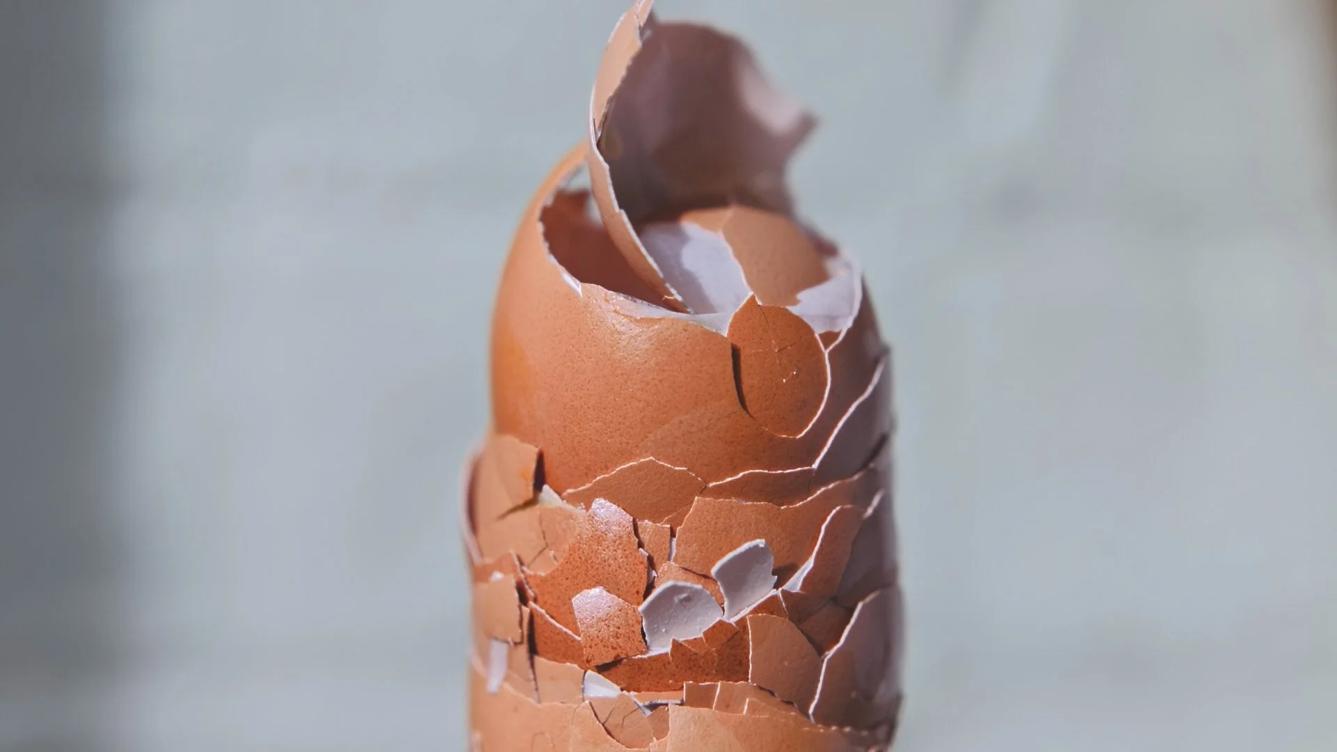 nadine-ingram-eggshell-tower-documentary-photography-flore-vallery-radot.jpg
