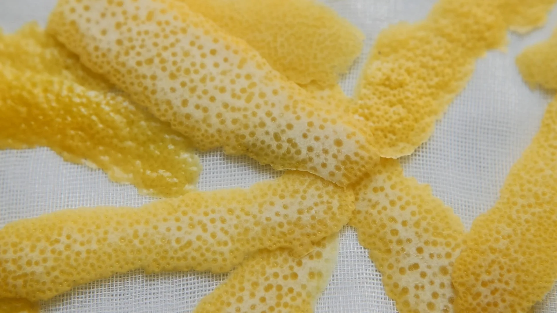 nadine-ingram-lemon-peel-detail-documentary-photography-flore-vallery-radot.jpg