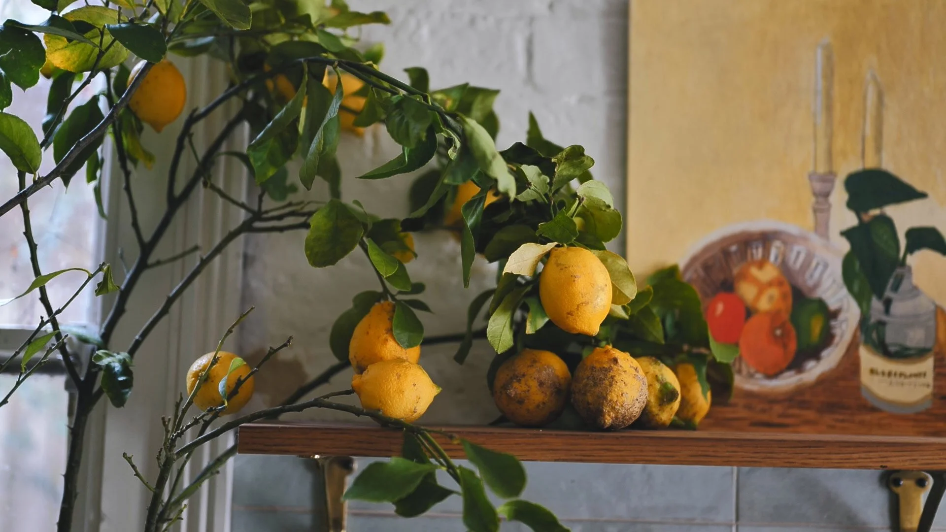 nadine-ingram-lemons-on-shelf-documentary-photography-flore-vallery-radot.jpg