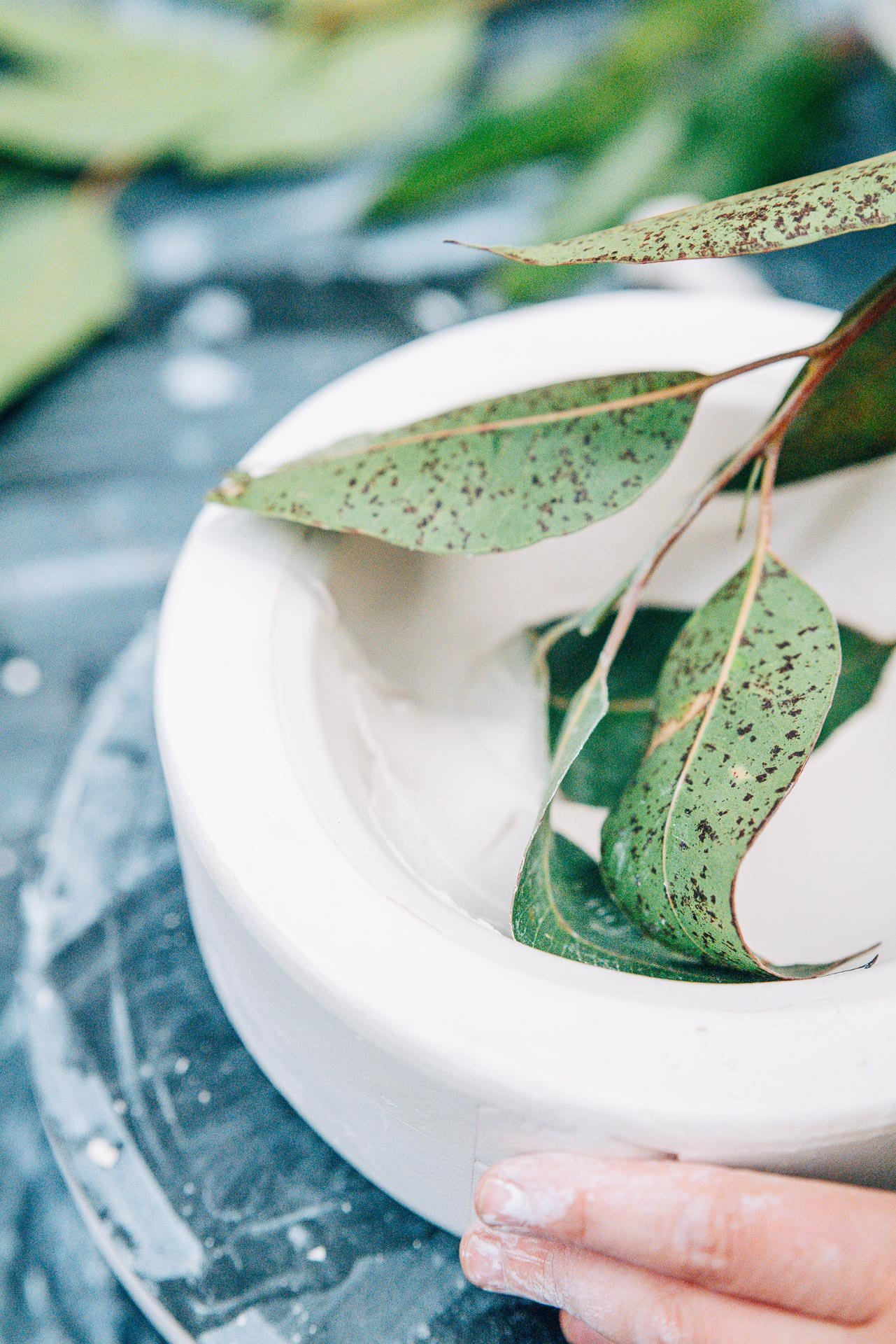 louise-martiensen-inprint-of-a-eucalyptus-leaf-documentary-photography-flore-vallery-radot-louisemstudio.jpg