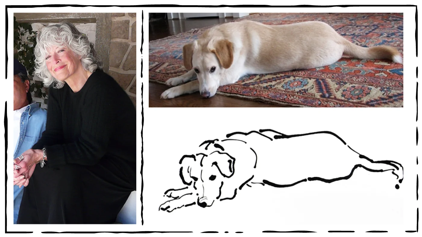 britt-zaist-pet-portraits.jpg