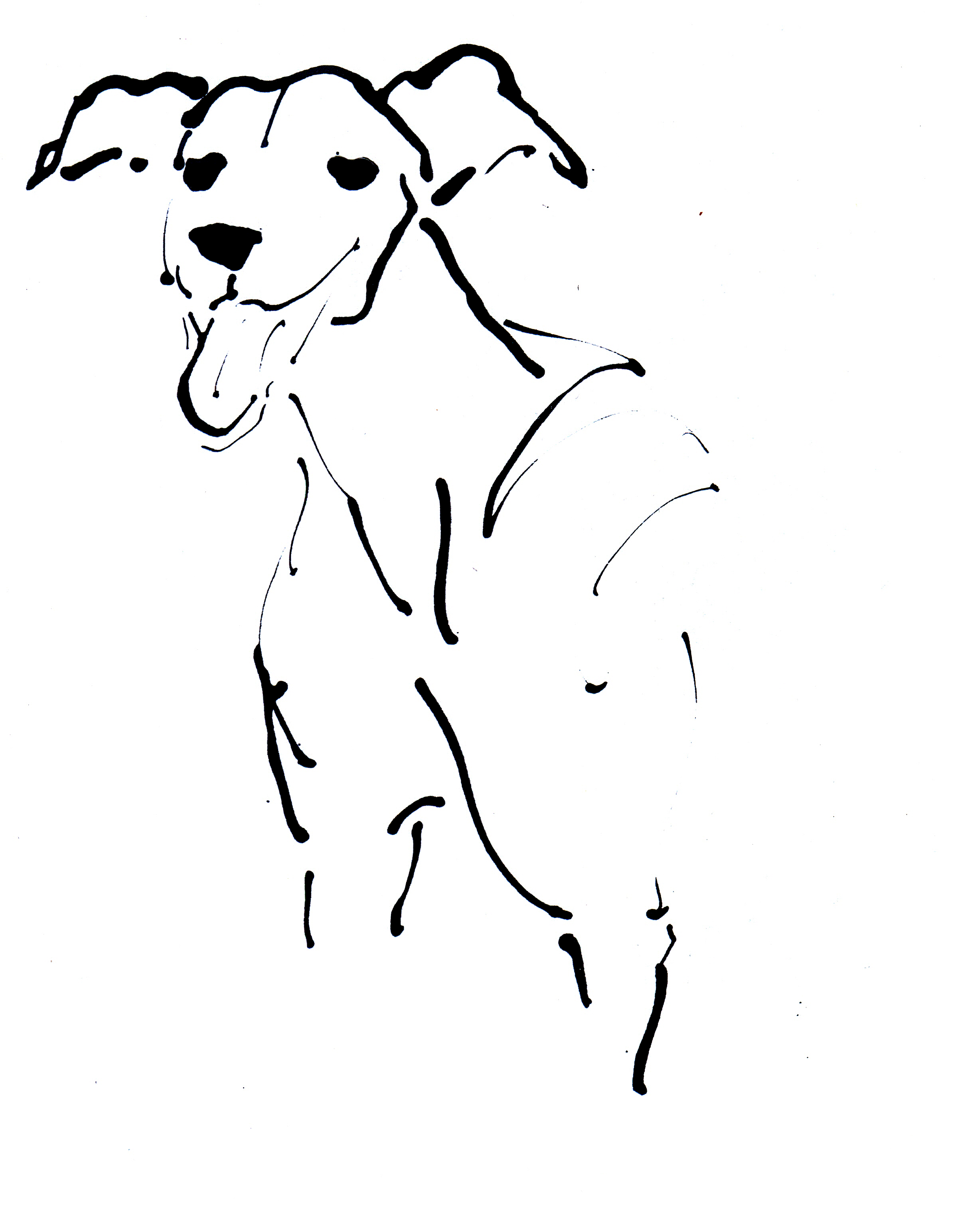 DIANA, a rescue greyhound.jpg