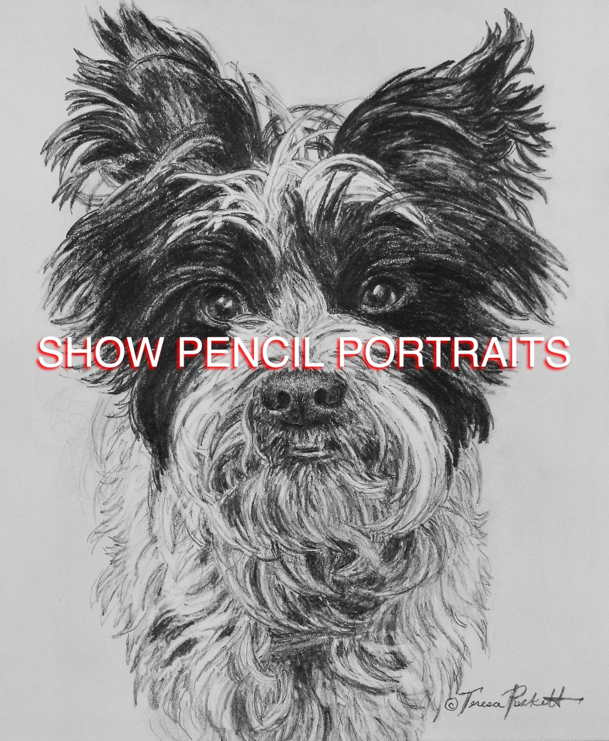 SHOW PENCIL PORTRAITS.jpg